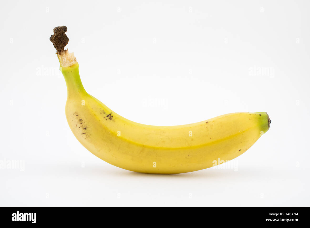 Banana or plantain isolated on white background. This tropical fruit