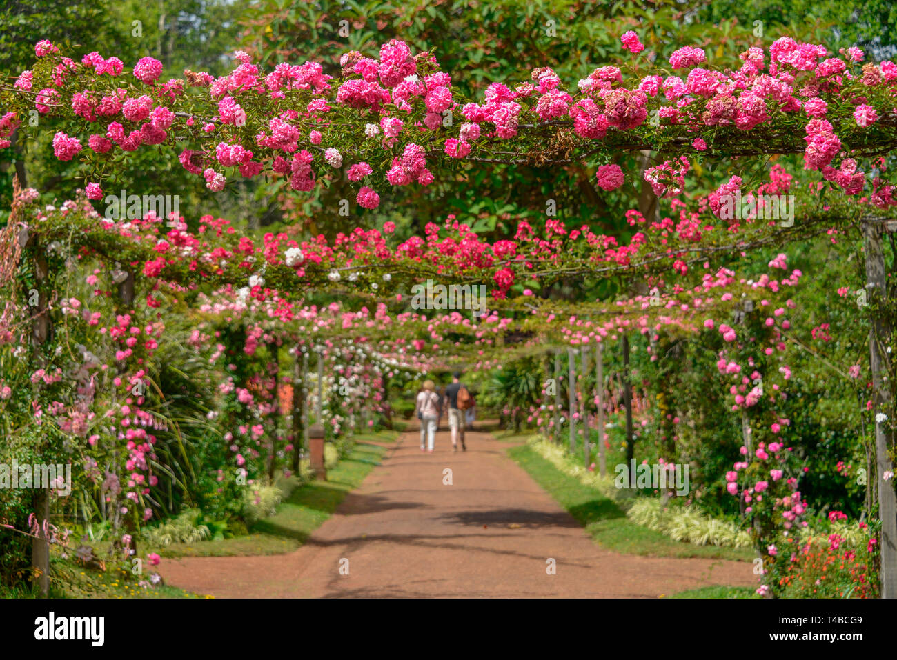 33+ Suche Kleinen Garten In Portugal, Wir haben alle ressourcen, um.