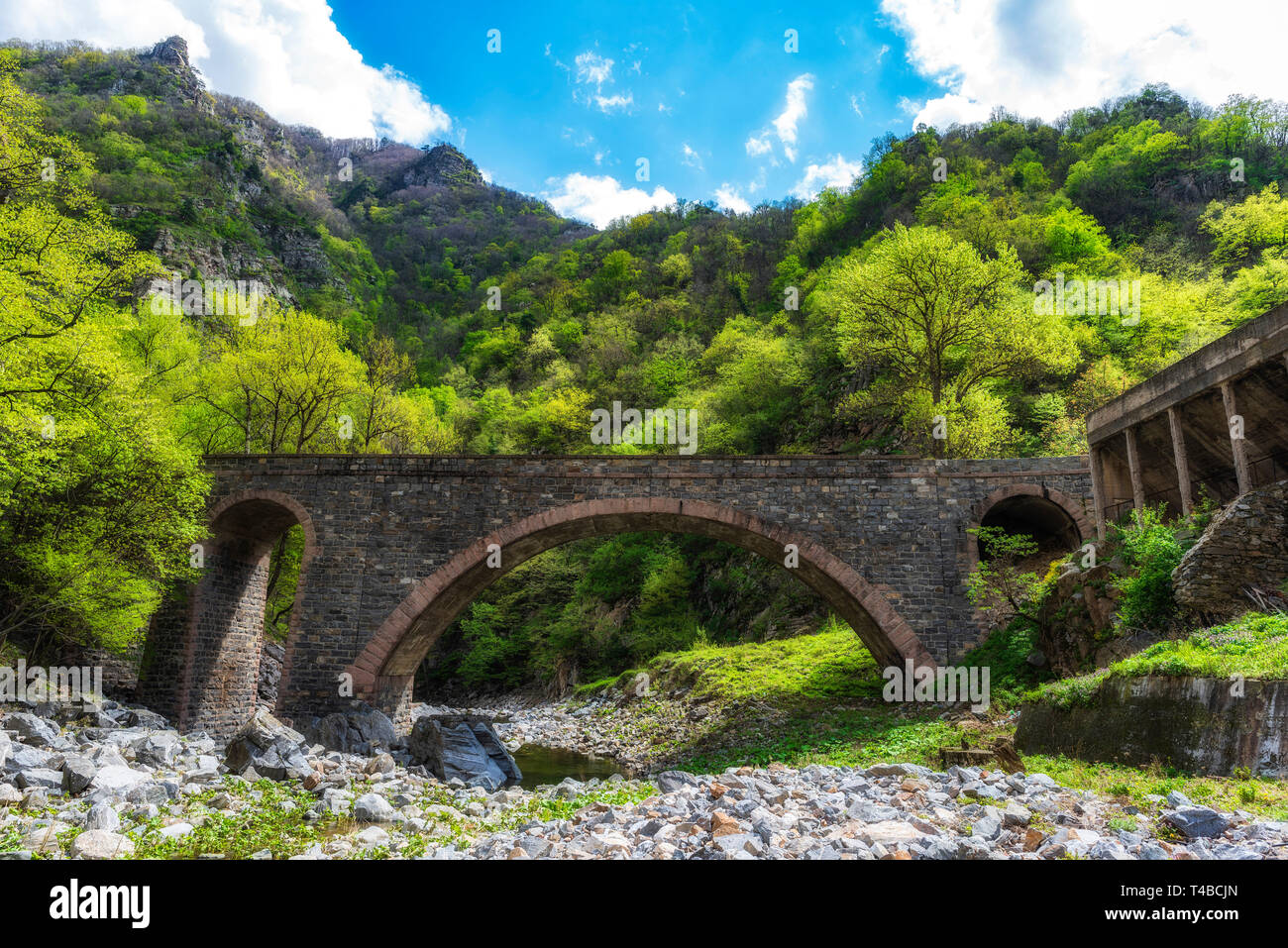 Stone bridge over small mountain river, green forest in background Stock Photo