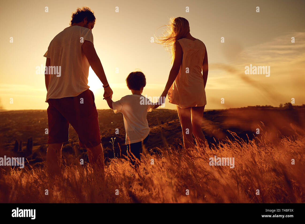 Rear view of family standing in nature at sunset Stock Photo - Alamy