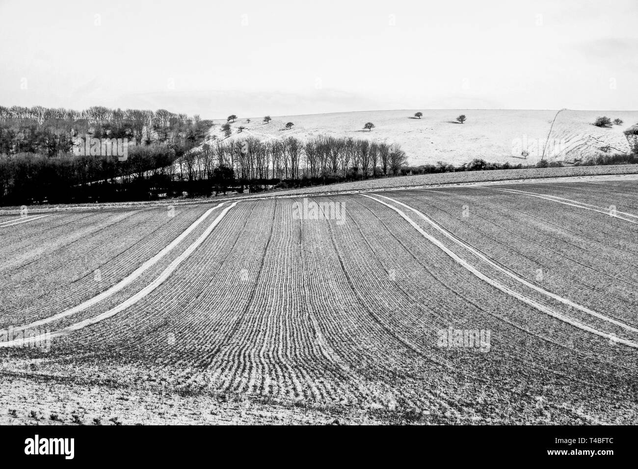 A black and white photograph of freshly ploughed field covered in a thin layer of white frost forming vertical lines, the field is on a hill and behin Stock Photo