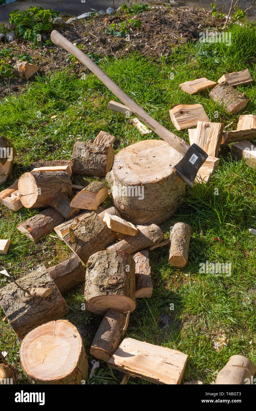 Sustainable energy in the UK: Softwood logs outside a cottage in west wales, ready to be chopped up for firewood for a wood burning stove. Stock Photo