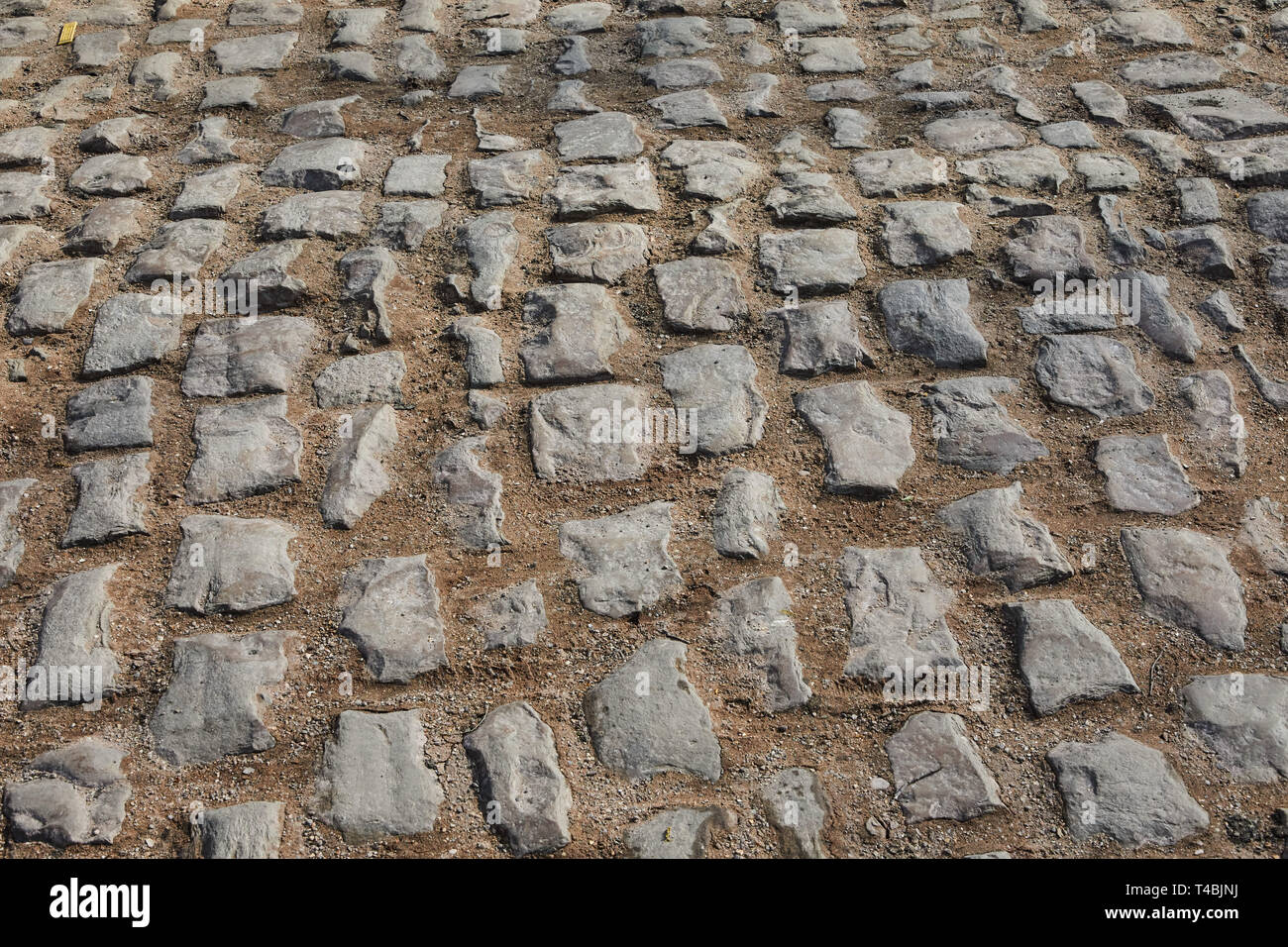 The Arenberg trench, Paris Roubaix Stock Photo