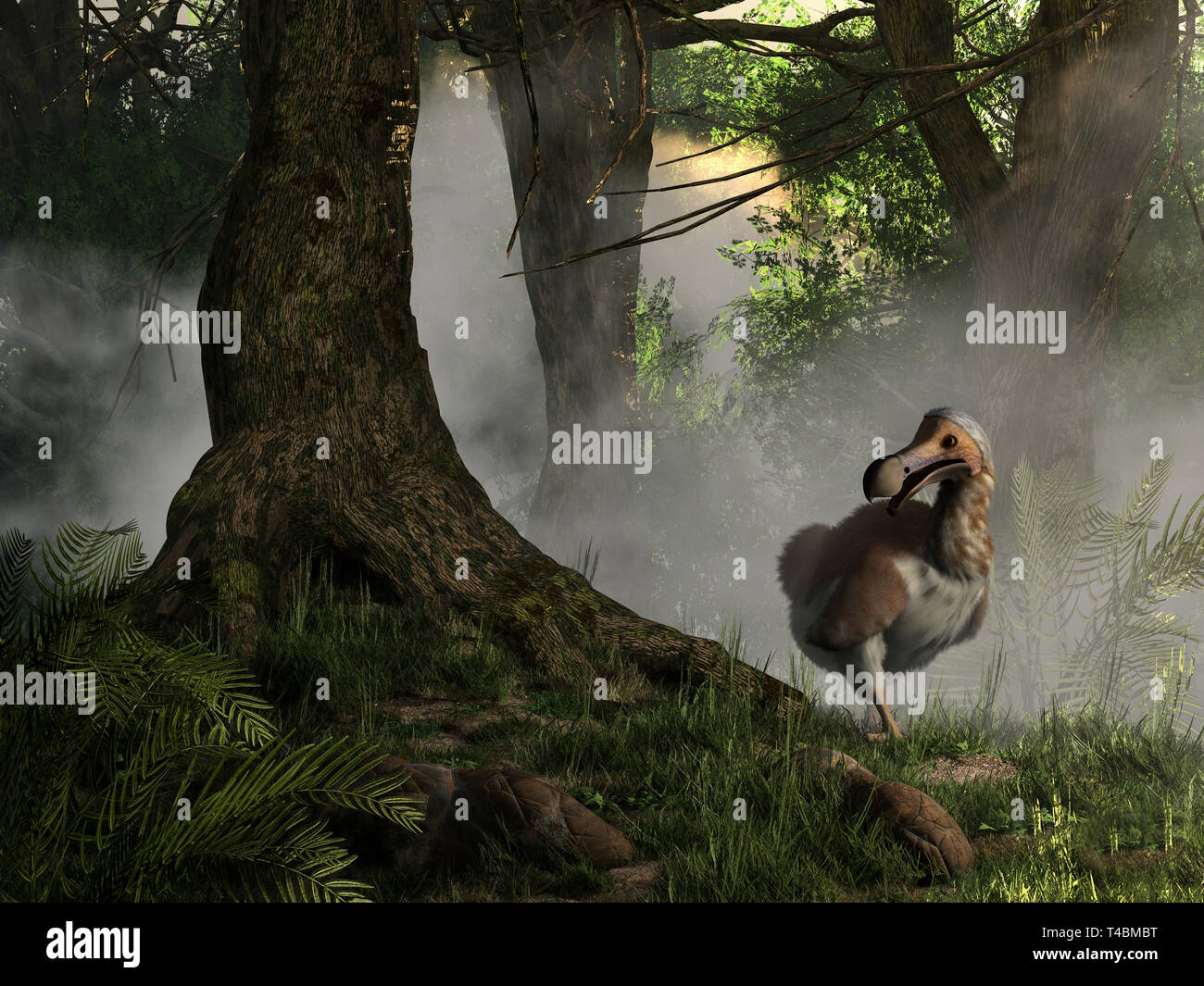 A brown and white dodo bird emerges from the jungle mists. Dodos are an extinct bird that once inhabited the island of Mauritia. 3D Rendering Stock Photo