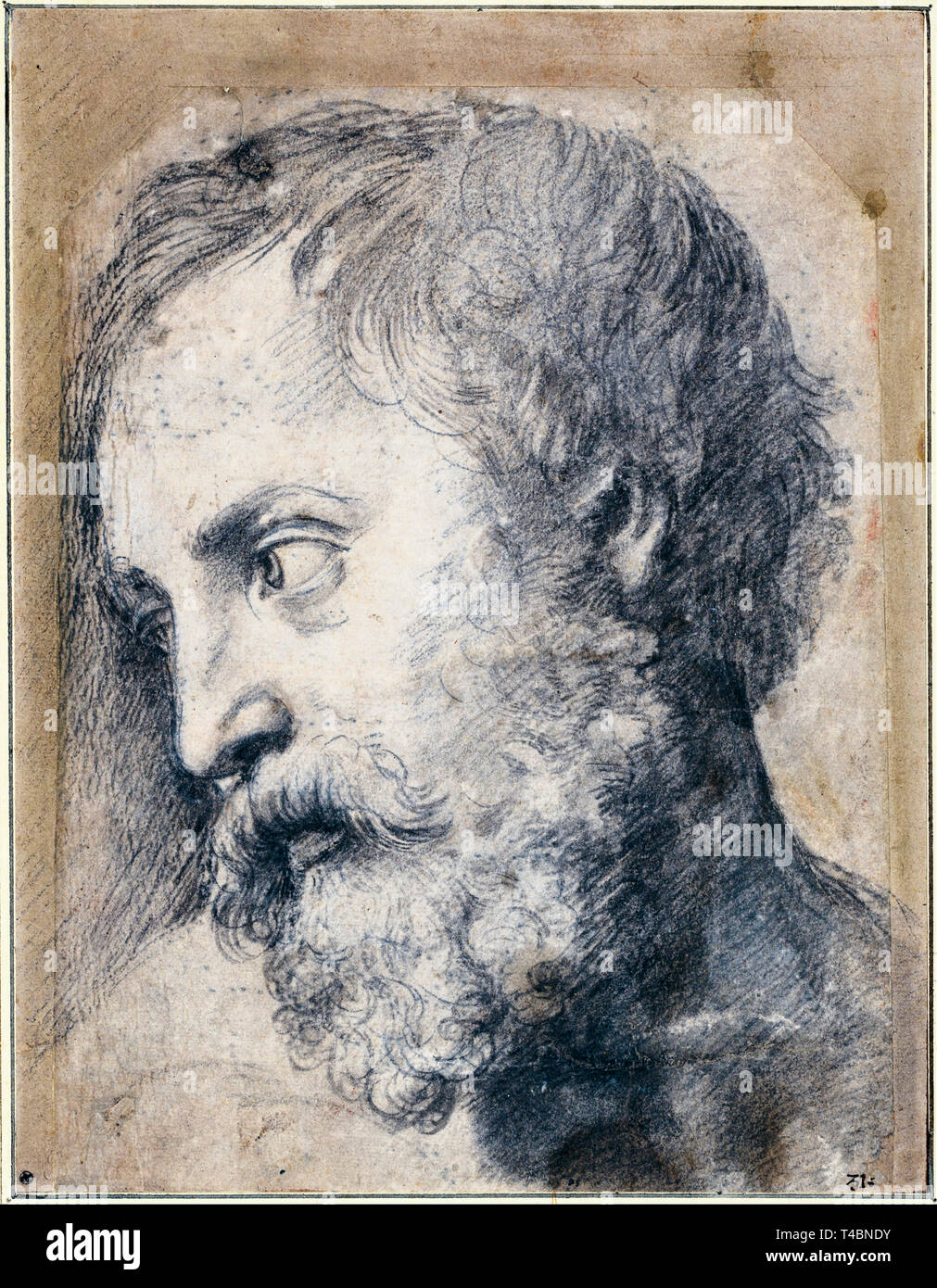 Raphael, Head of An Apostle in the Transfiguration, drawing, c. 1519 Stock Photo