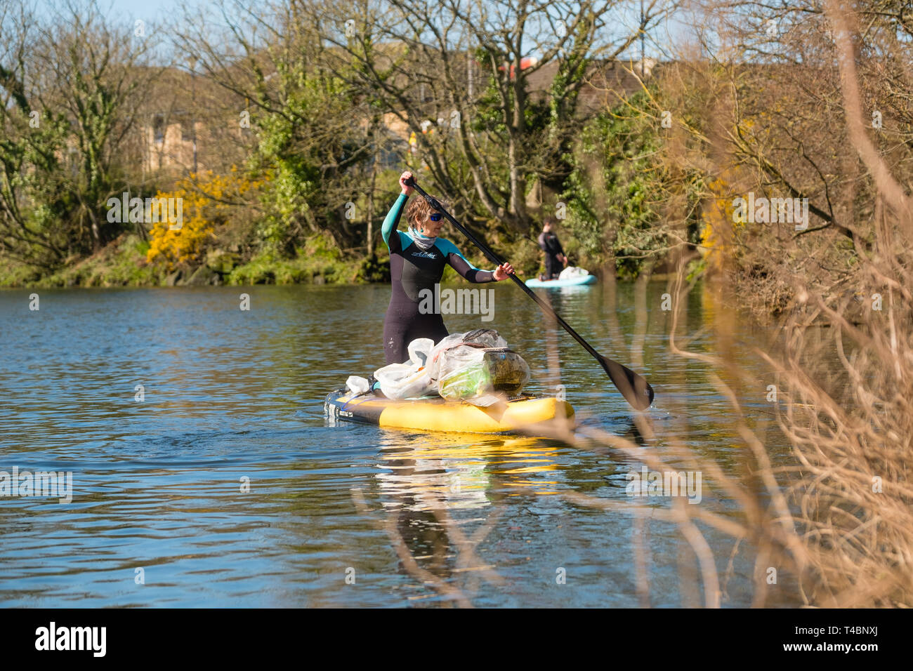 Two adult women on stand up paddleboards voluntarily taking part in  a river clean , picking up plastic  and other types of rubbish, organised by Aberystwyth Beach Buddies / Gwerin y Glannau along the river Rheidol in Aberystwyth, Wales UK Stock Photo