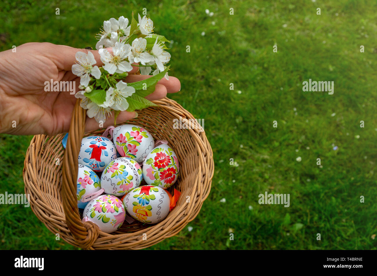 Hand holding Close up of colorful hand painted Easter eggs in a basket with cherry blossom Stock Photo