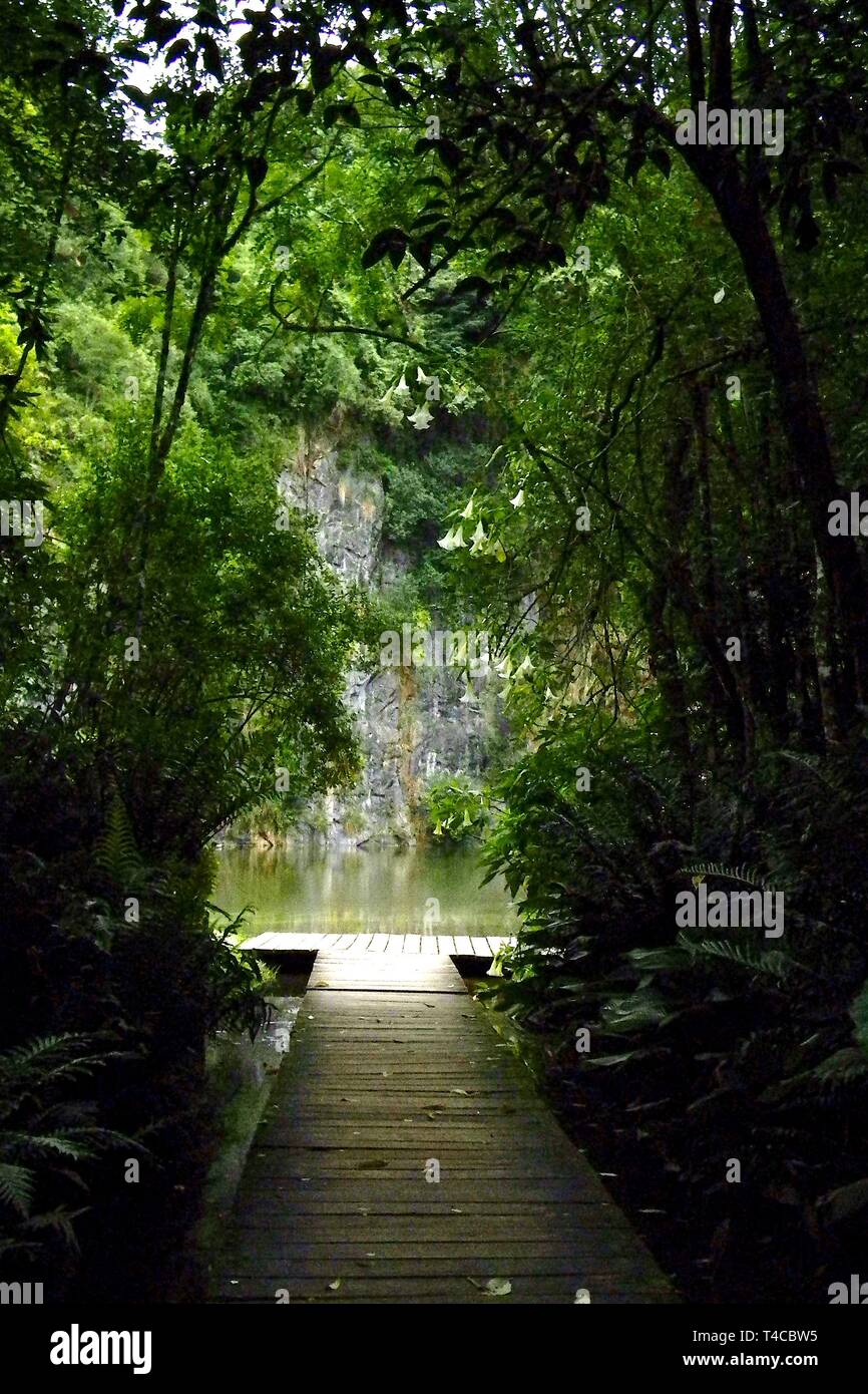A peaceful jungle path leading to a secret place hidden among the lush foliage of the rain forest in a city park of Curitiba, Brasil. Stock Photo