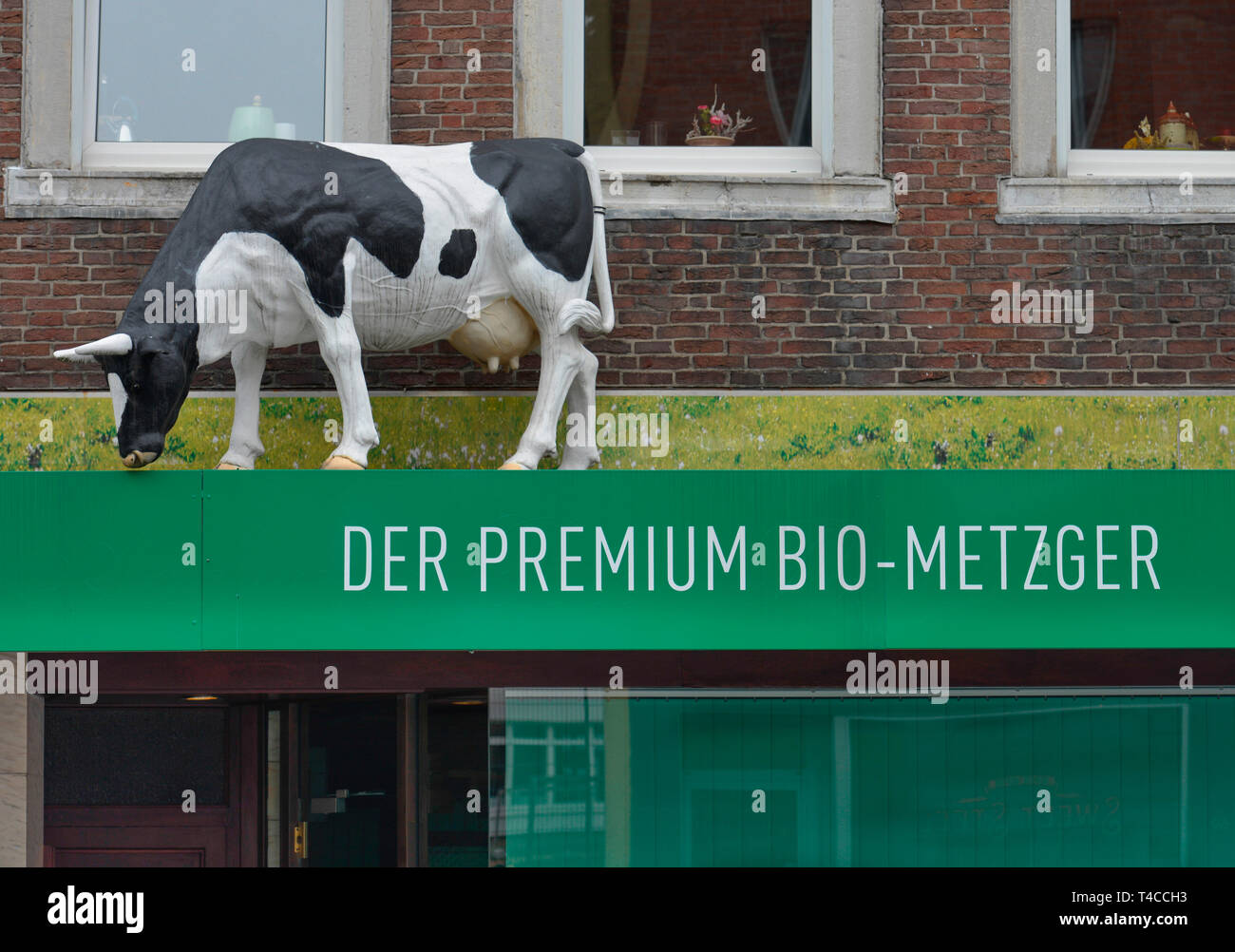 Kuh Biometzger Stoebe, Werbung, Sandkaulstrasse, Aachen, Nordrhein-Westfalen, Deutschland, Stöbe Stock Photo