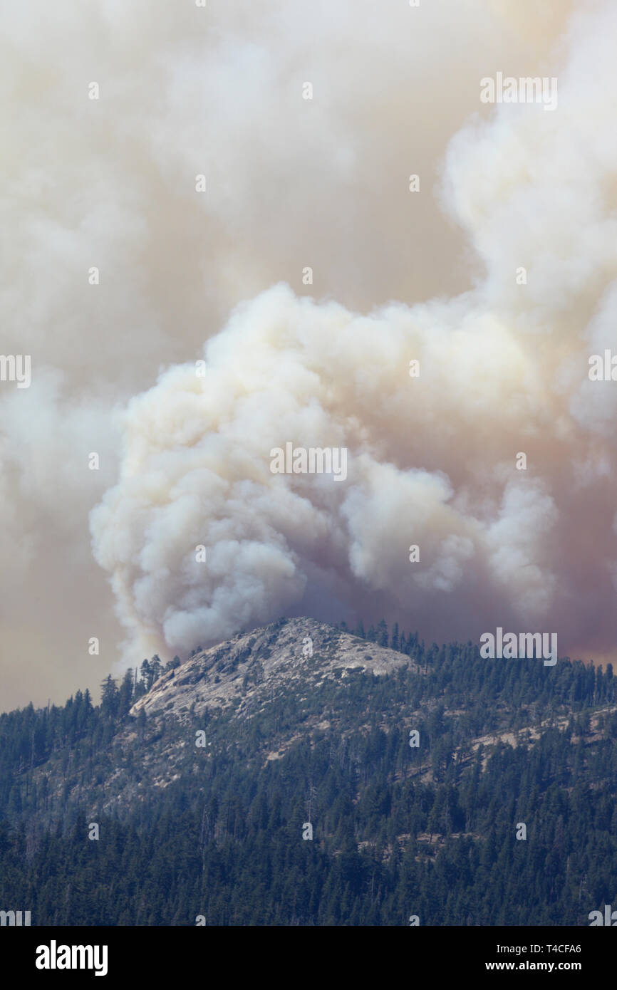 Forest fire near Buck Meadows, Yosemite, America, Stock Photo