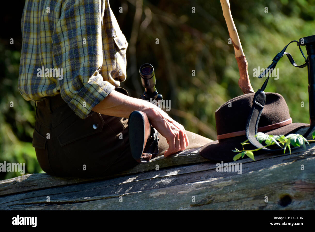 Huntswoman, shotgun, Germany Stock Photo