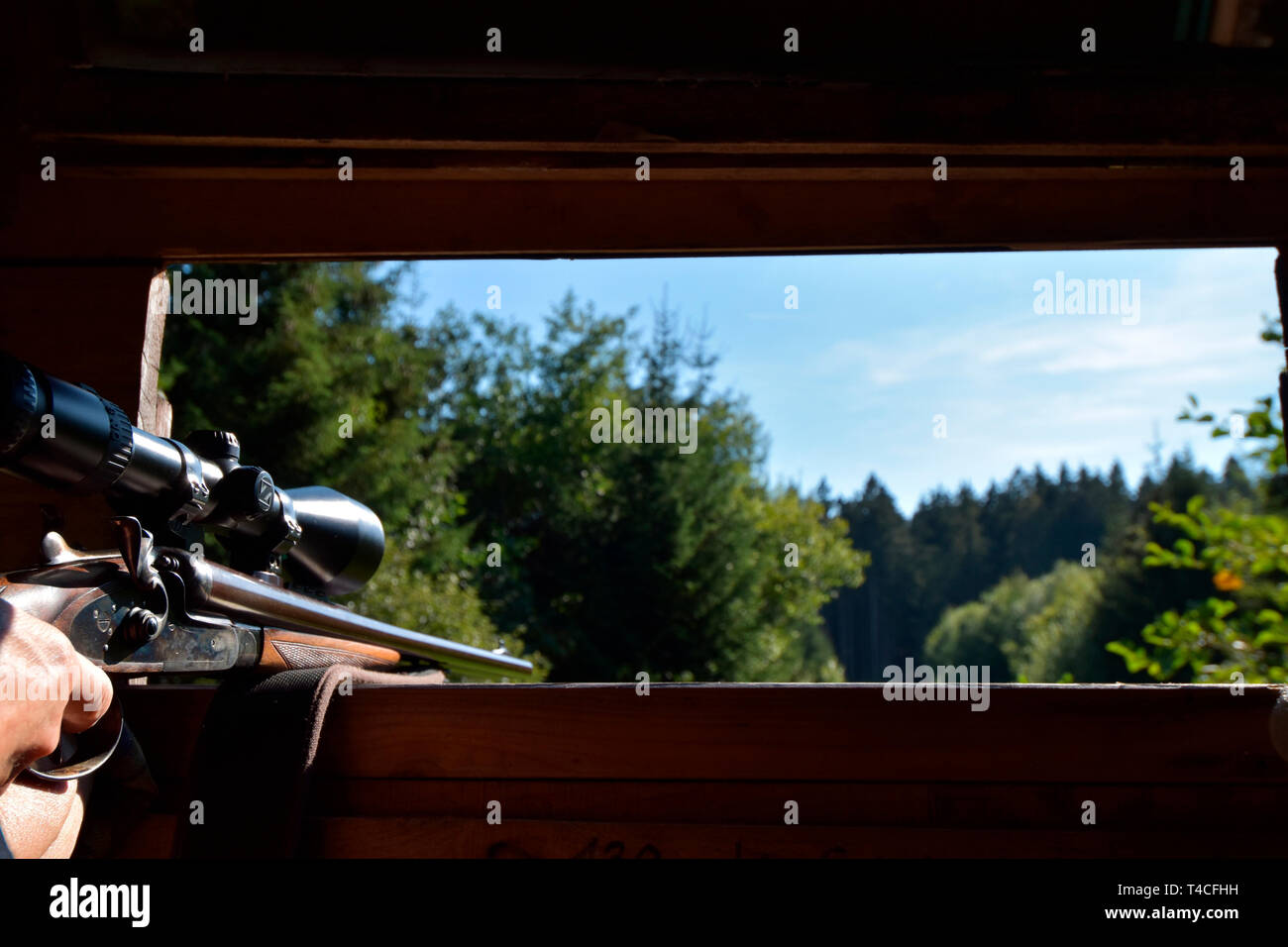 Huntswoman, shotgun, Germany Stock Photo