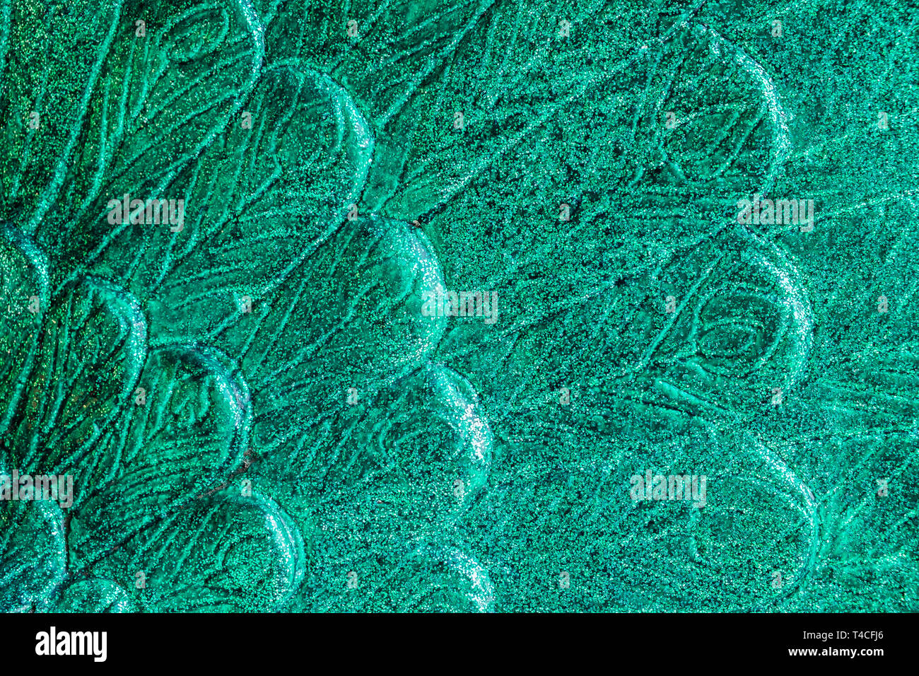 Peacock feather art hi-res stock photography and images - Alamy