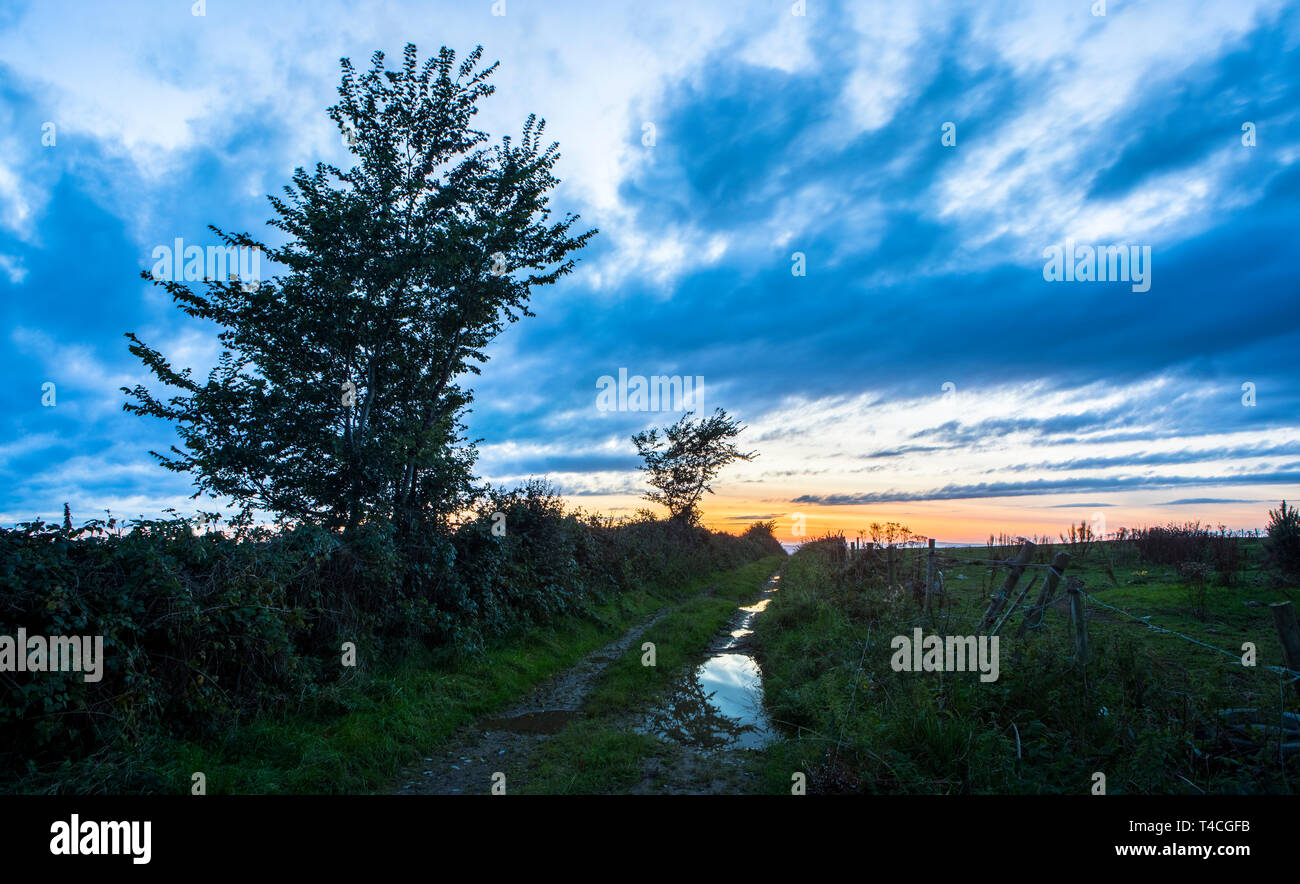 An Irish country lane at sunset, reflections and colour from the  golden hour. Stock Photo