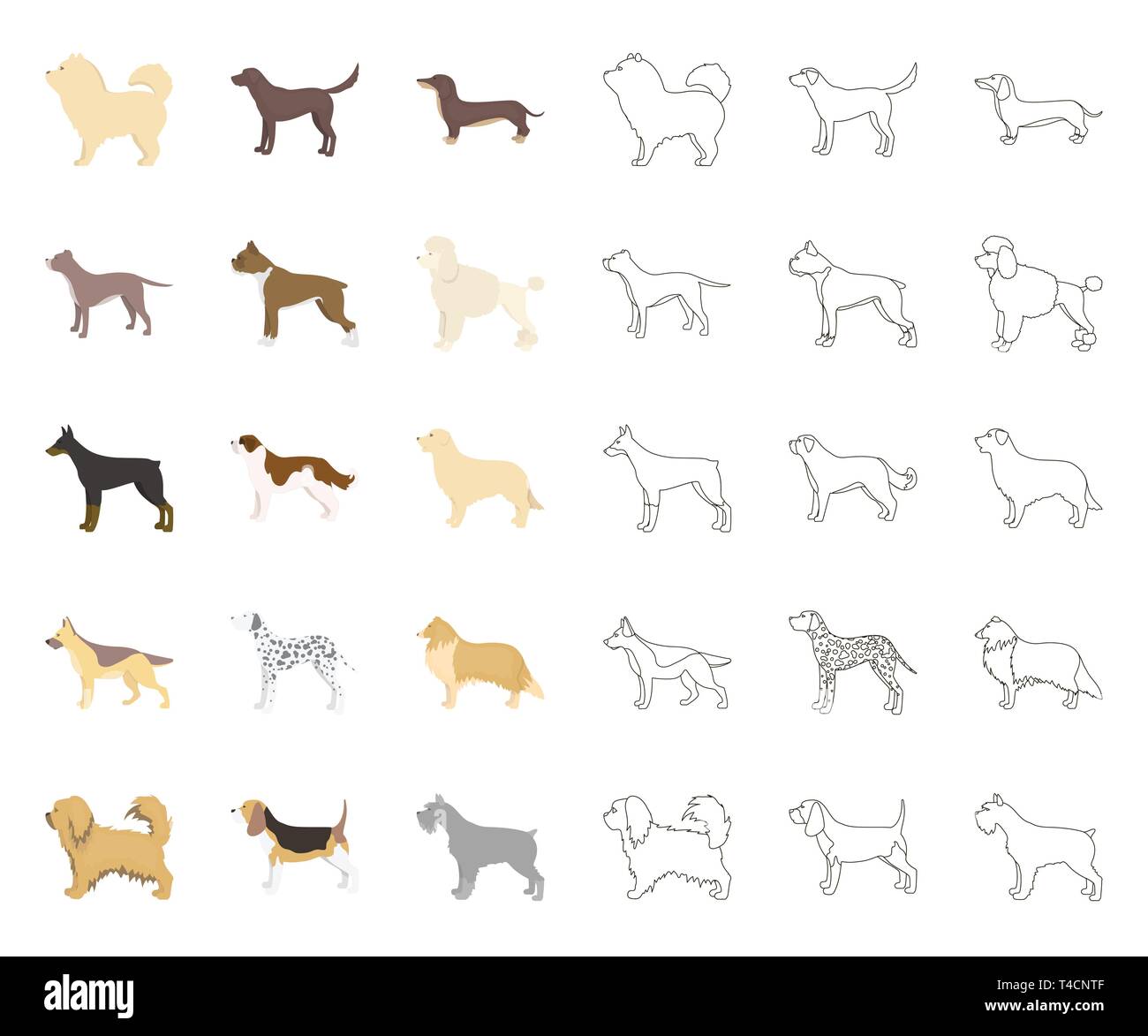 Dog breeds cartoon,outline icons in set collection for design.Dog pet vector symbol stock  illustration. Stock Vector