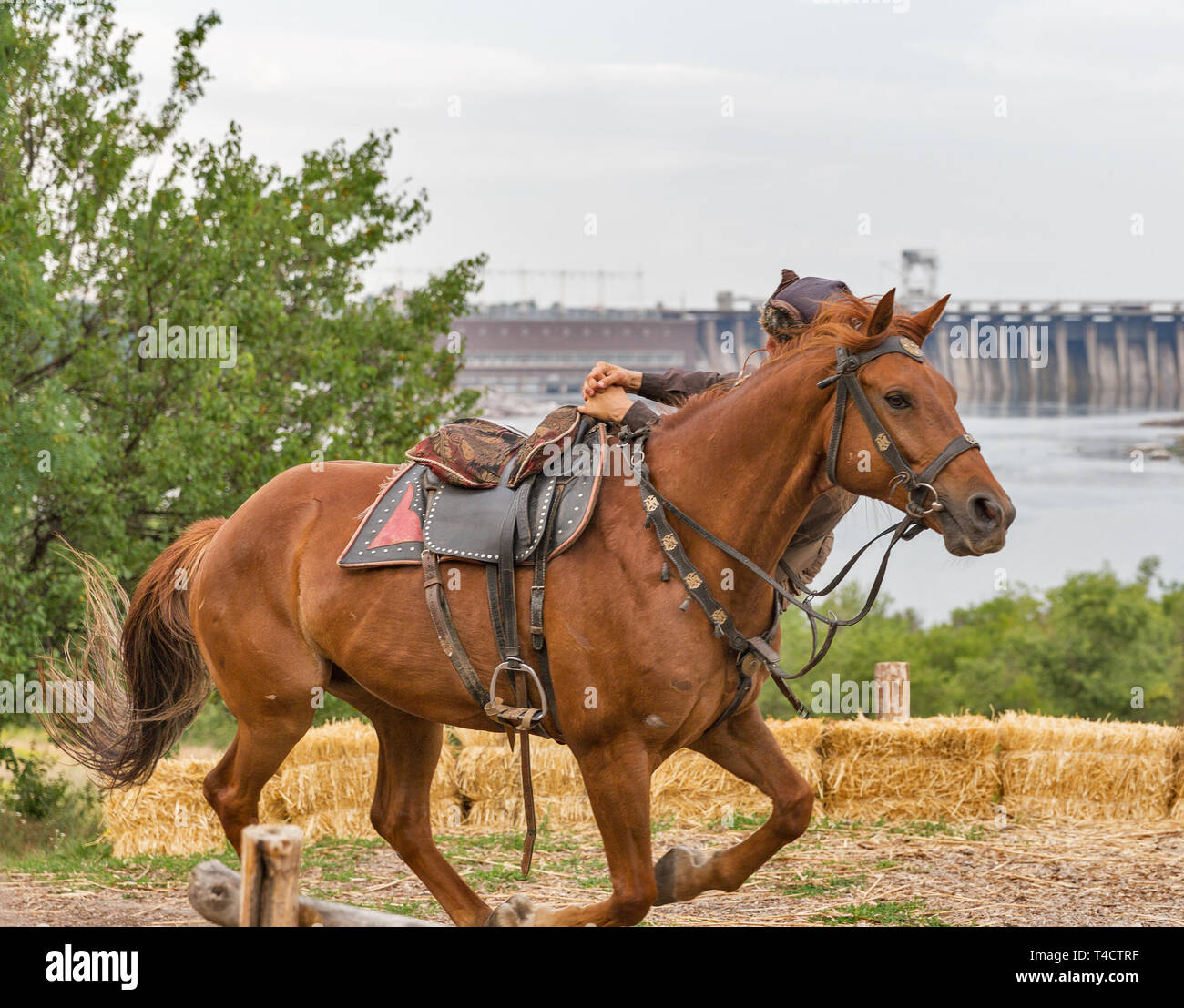 Unrecognized Ukrainian Cossack doing tricks on a horse in Zaporozhian Sich on Khortytsia island, Ukraine. Hydroelectric power station Dneproges in the Stock Photo