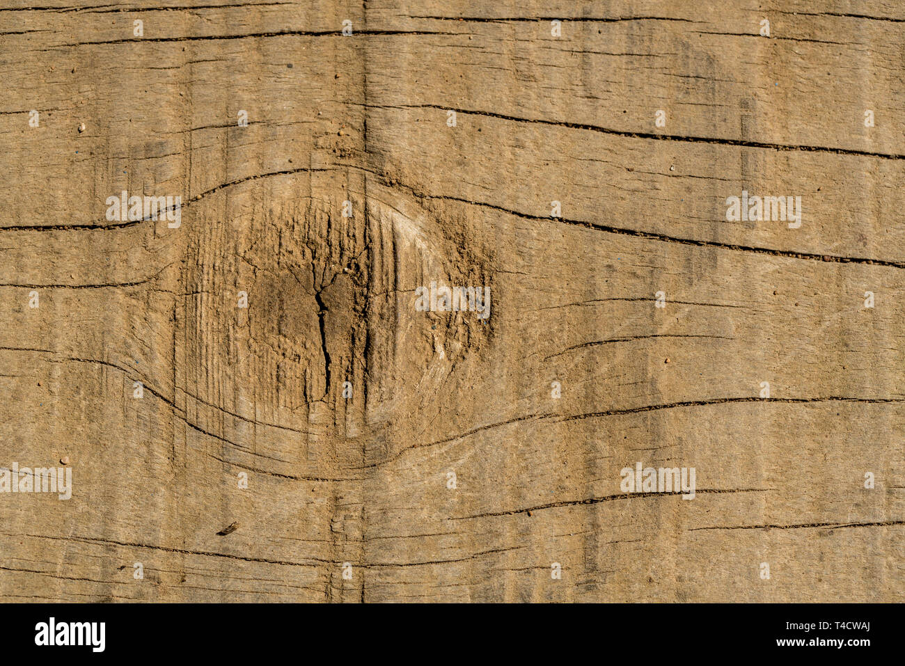 A macro / close up photo of the texture and a knot on a wooden surface. Stock Photo