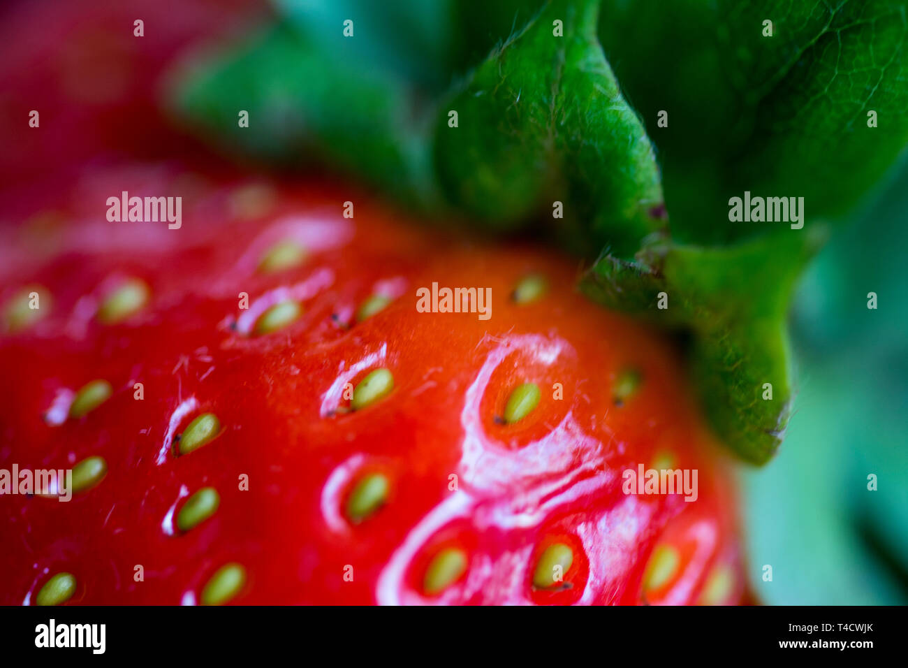 Macro photography on a delicious strawberry Stock Photo - Alamy