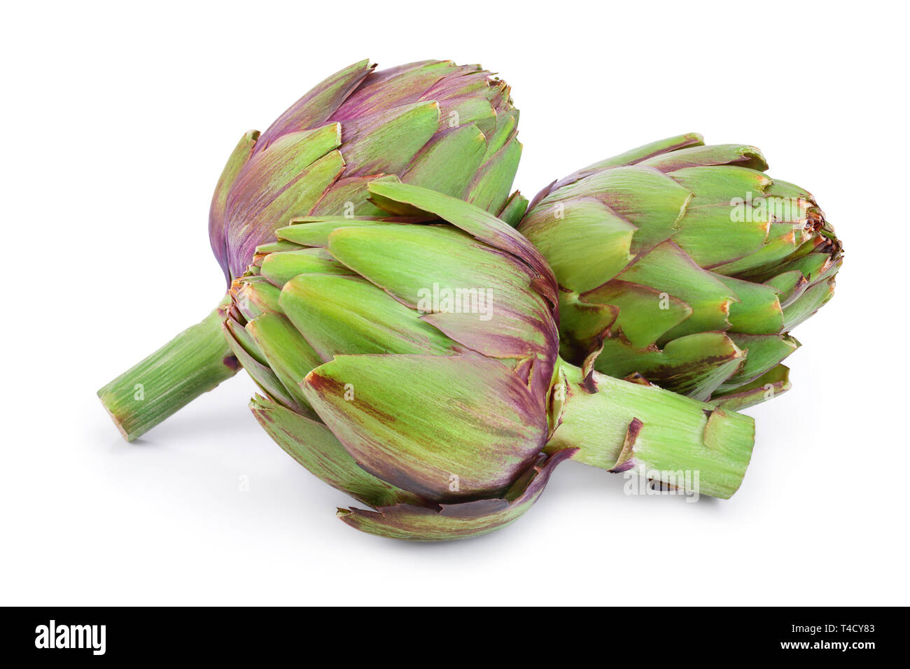 Fresh Artichokes isolated on white background closeup Stock Photo