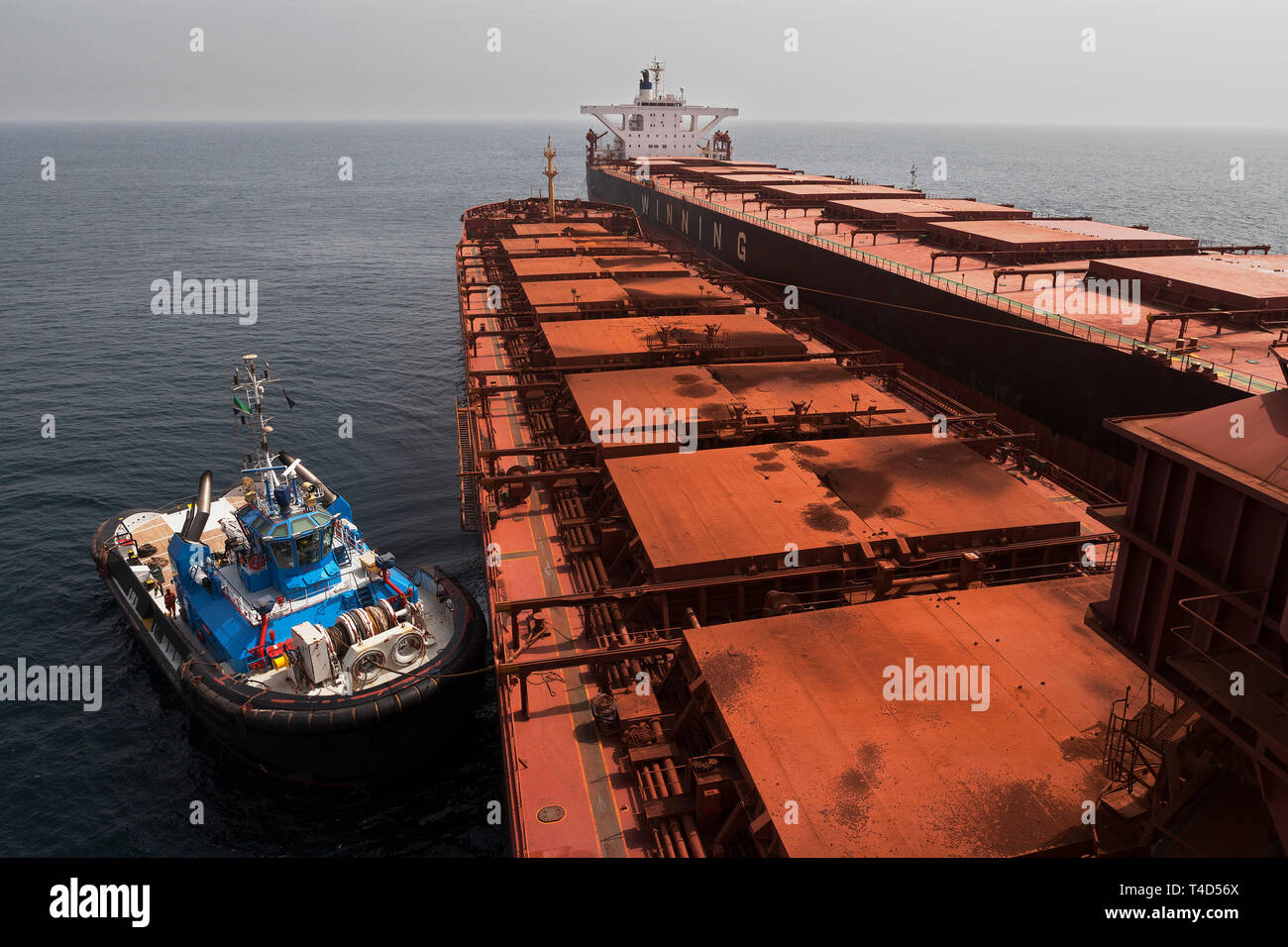 Managing and transporting iron ore. Waiting to unload fines ore from TGV transhipper into hold of OGV ocean going vessel at sea. Tug boat on standby. Stock Photo
