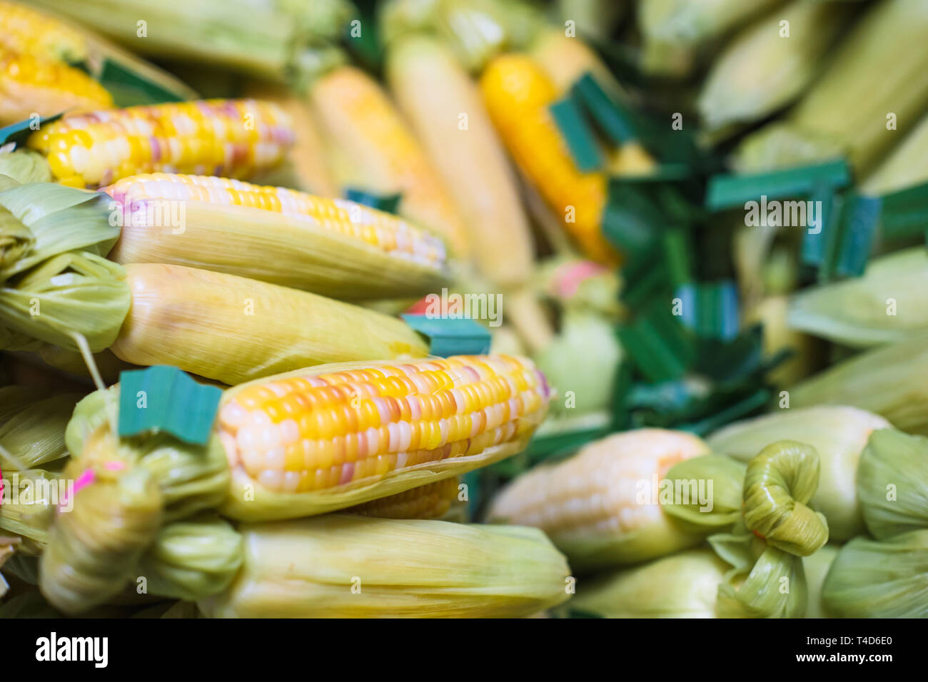 Thailand dessert. Steam sweet colorful corn with pandan leaves
