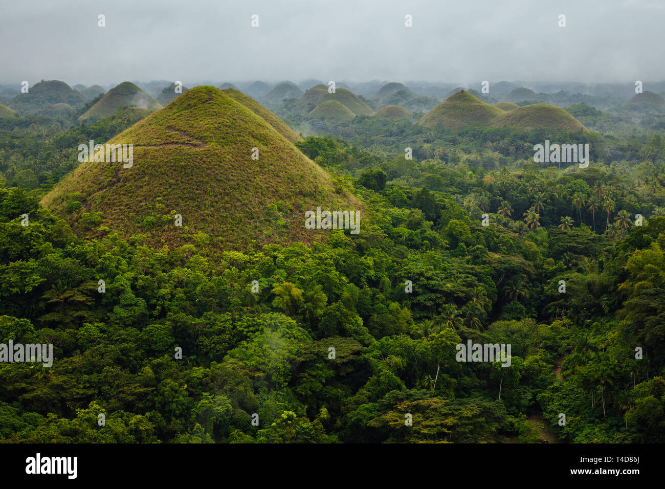 The mystical view of the Chocolate Hills in rainy weather, Bohol