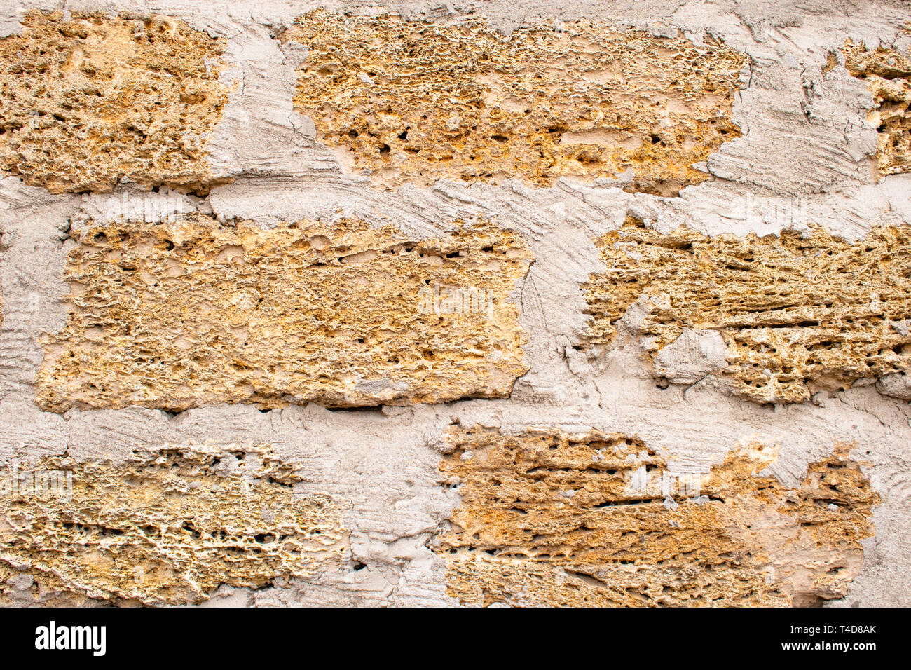 Background wall with shell rock. Old wall. Texture limestone. Texture