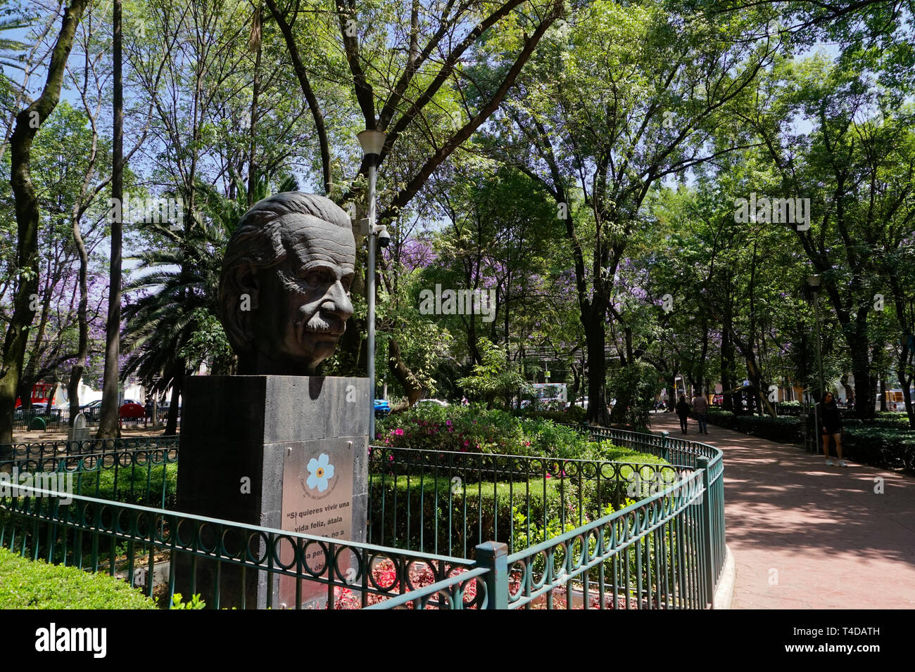 Albert Einstein statue in Parque Mexico, City Park in the Hipodromo/Roma neighborhood of Mexico City, Mexico. Stock Photo