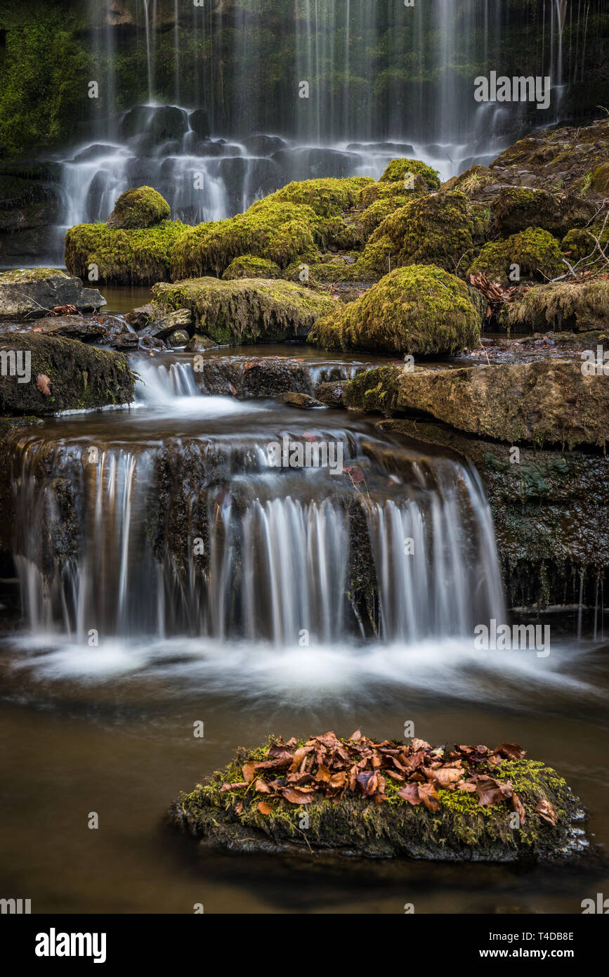Scaleber Foss Waterfalls near Settle in the Yorkshire Dales. A stunning 40 Ft waterfall cascading over limestone cliffs in a wooded gorge Stock Photo