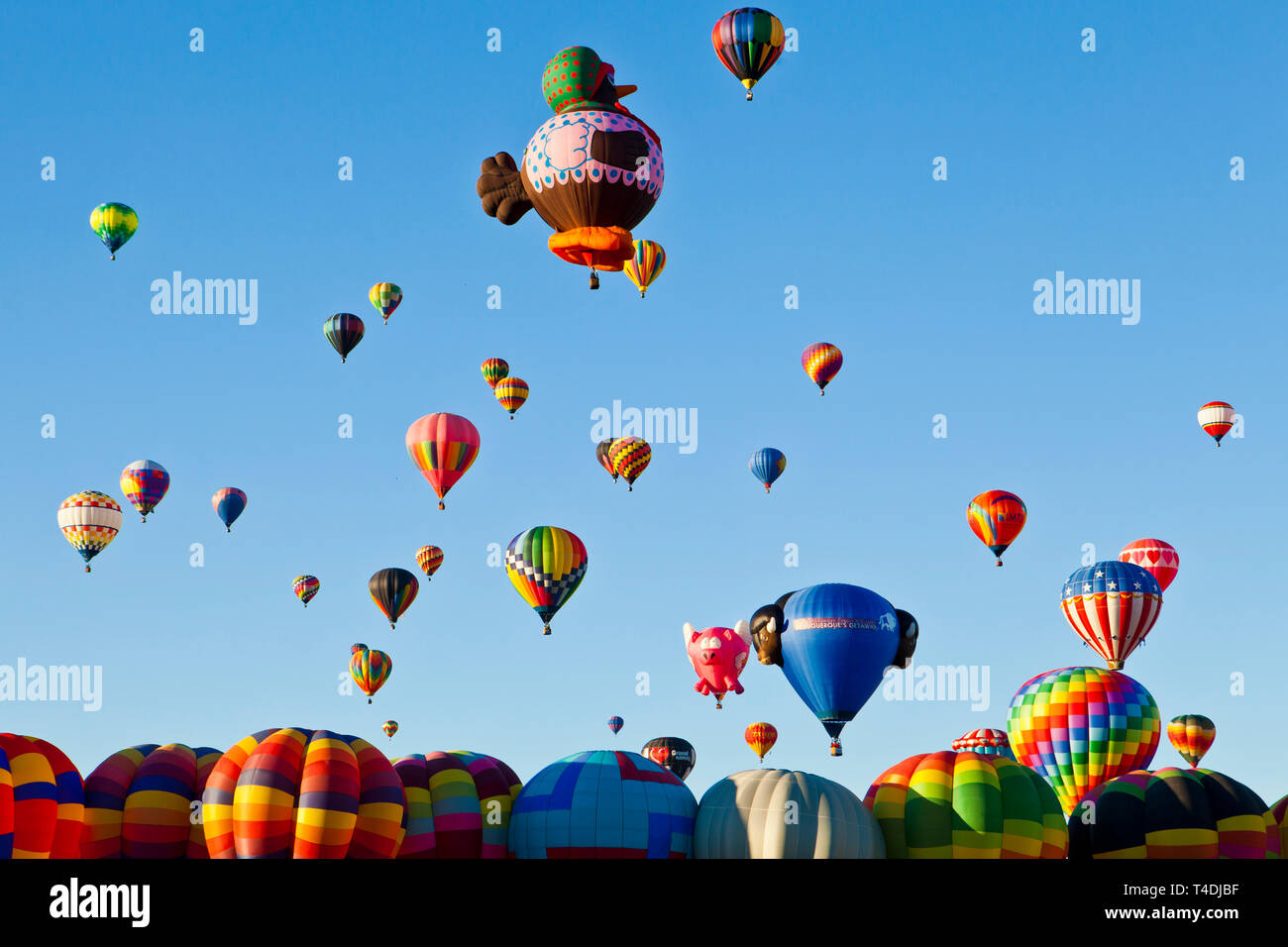 Hot air balloons ascending at the Albuquerque, New Mexico International