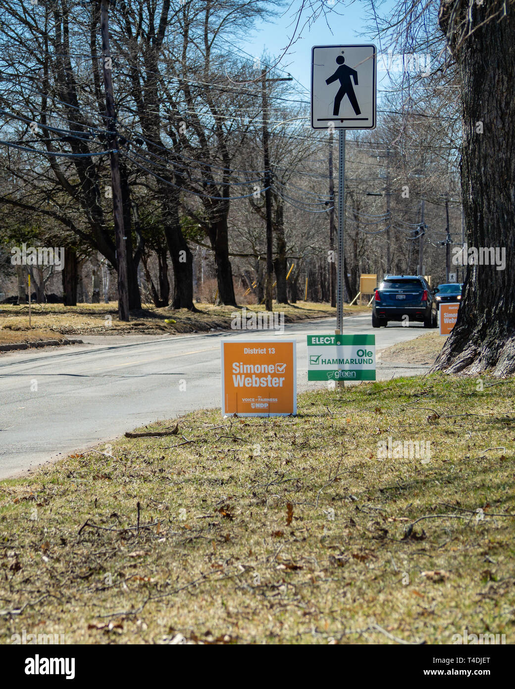 Election signs of Simone ster, NDP PEI, and Ole Hammarlund, Green PEI, for the provincial