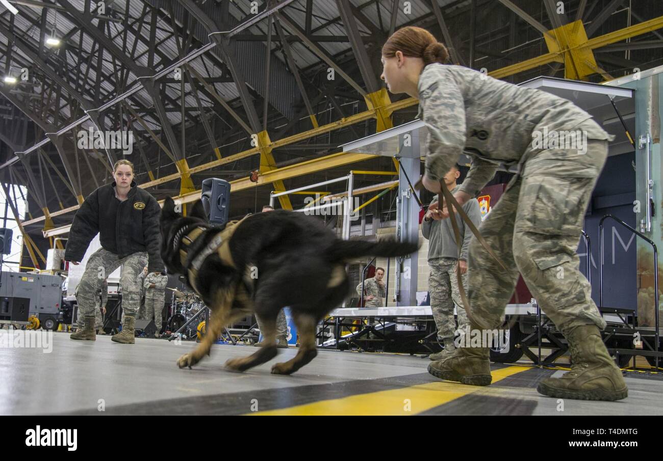 375th security forces squadron