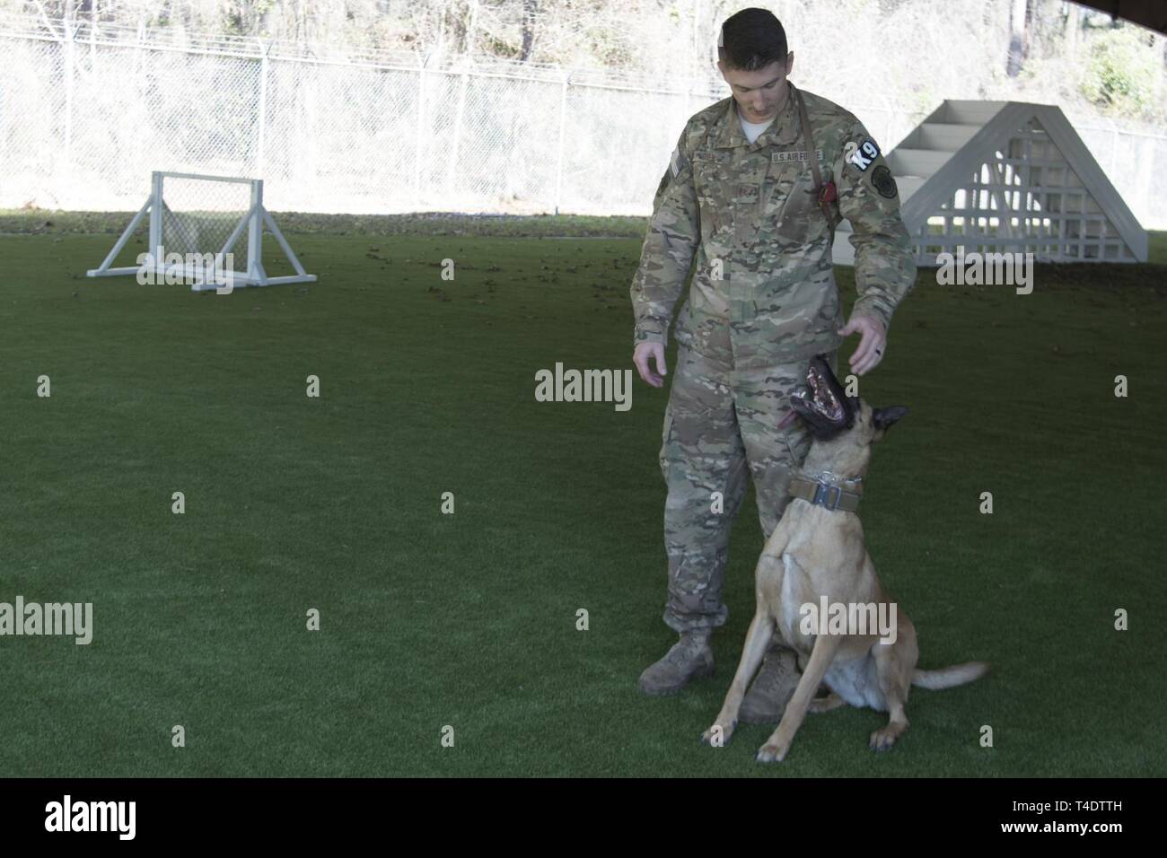 Staff Sgt. Connor Oien, 4th Security Forces Squadron a military working dog handler, gives a command to Tessa, 4th SFS MWD, March 22, 2019, at Seymour Johnson Air Force Base, North Carolina. In order to maintain mission readiness MWD’s continuously train with their handlers. Stock Photo