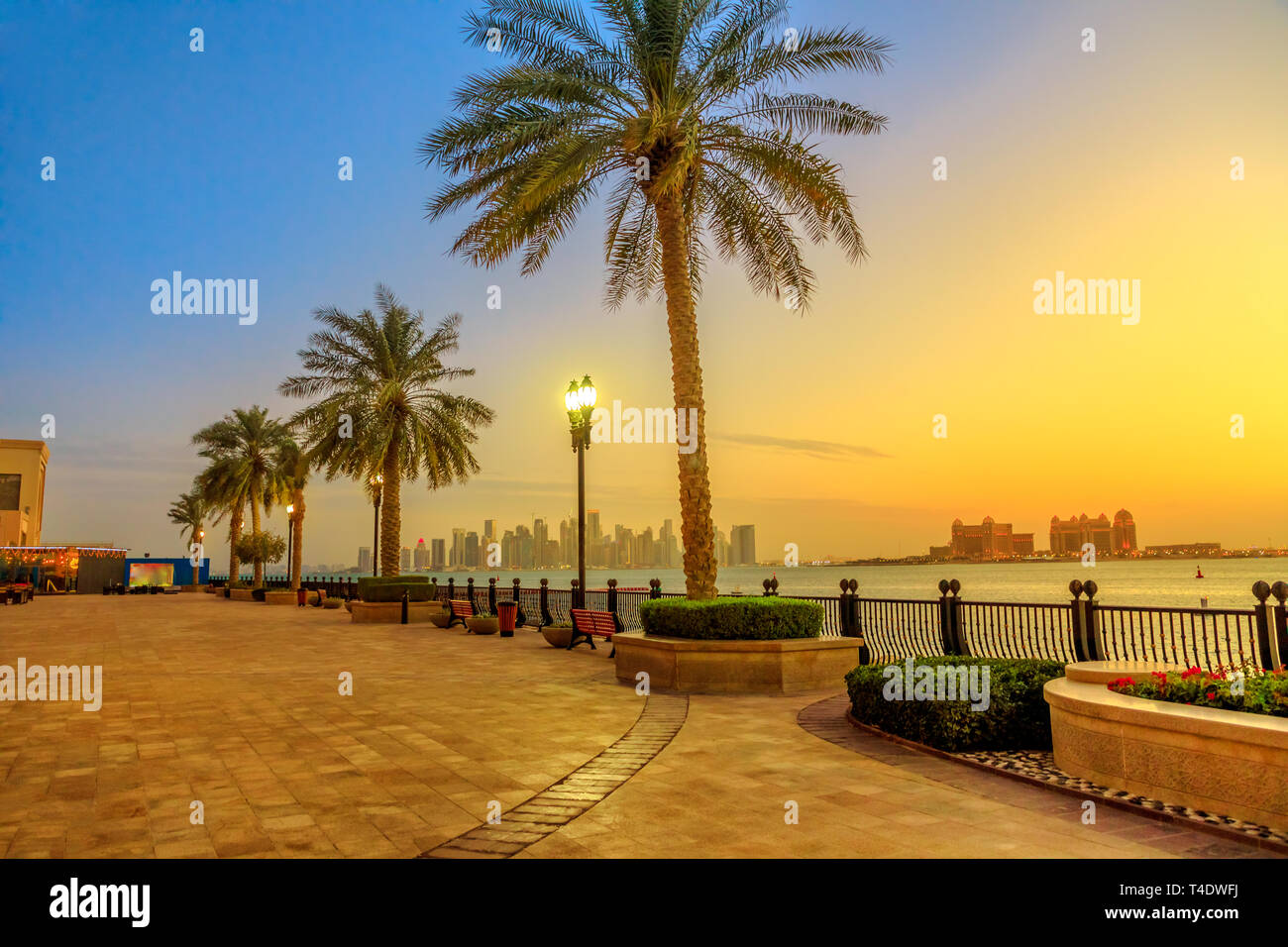 Benches and palm trees along marina walkway in Porto Arabia at the Pearl-Qatar, Doha, with skyscrapers of West Bay skyline illuminated at blue hour Stock Photo