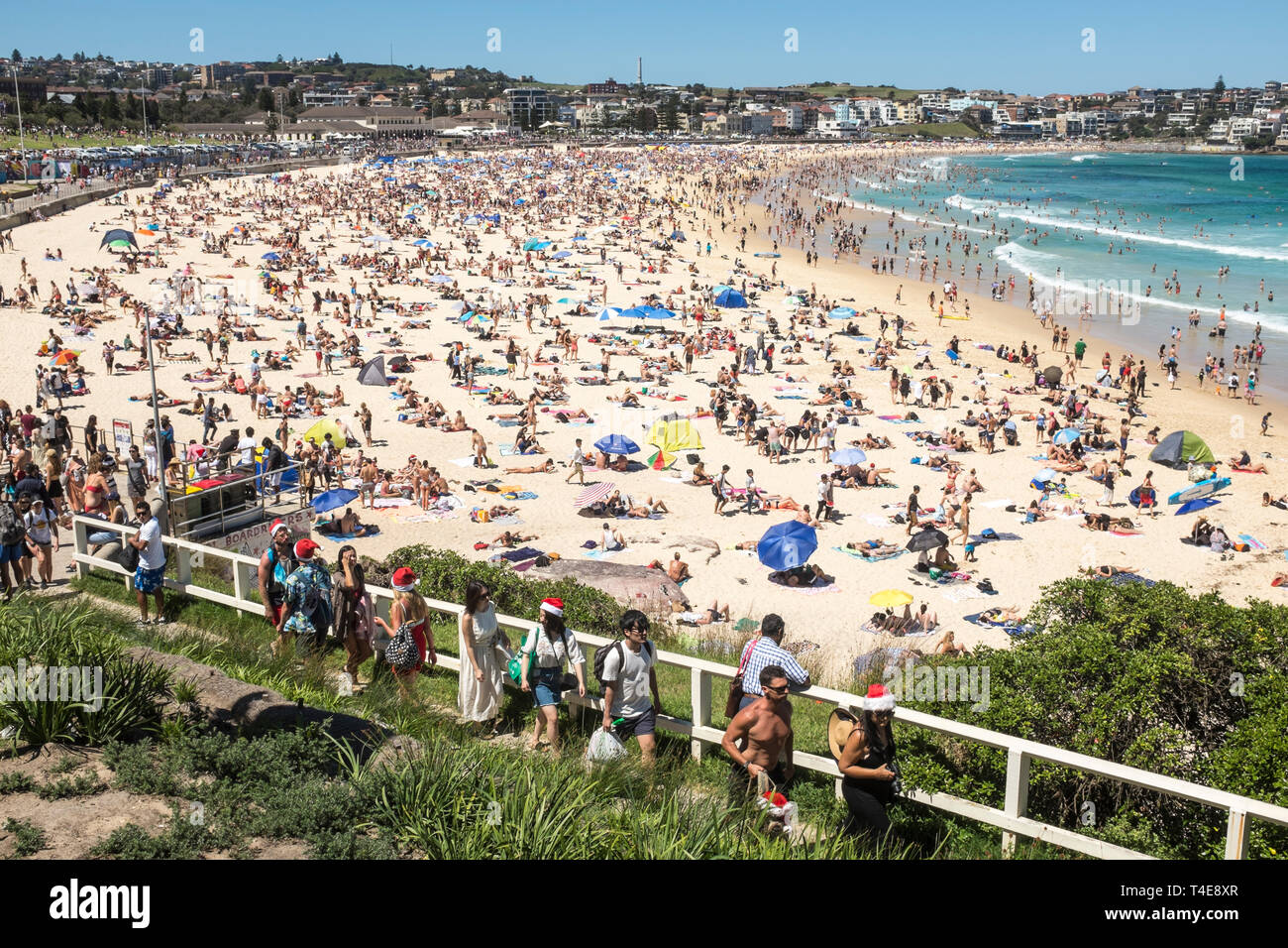People sunbathing on bondi beach hi-res stock photography and images ...