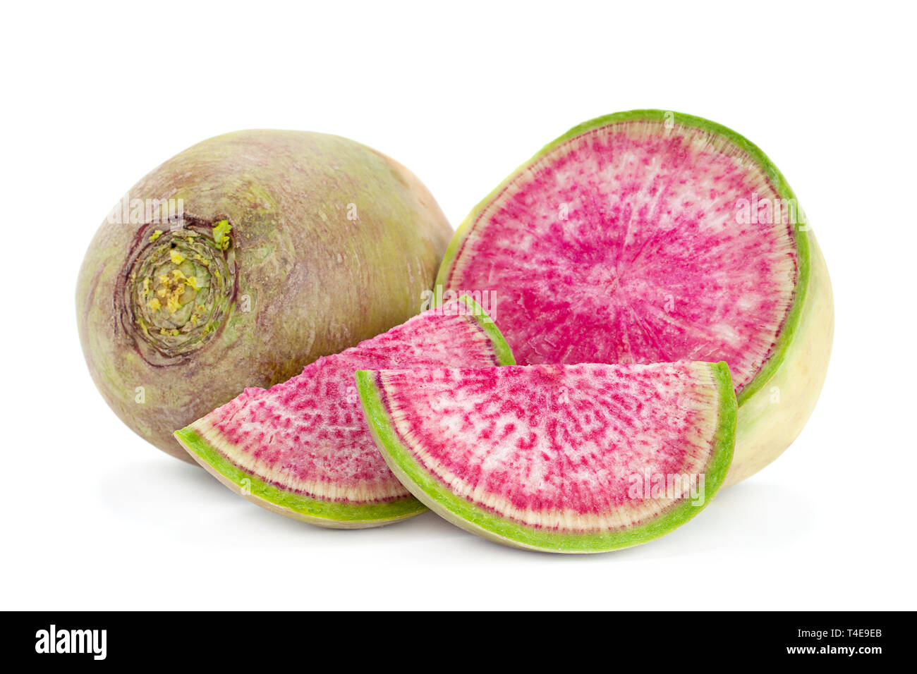 Watermelon radish closeup isolated on white background Stock Photo