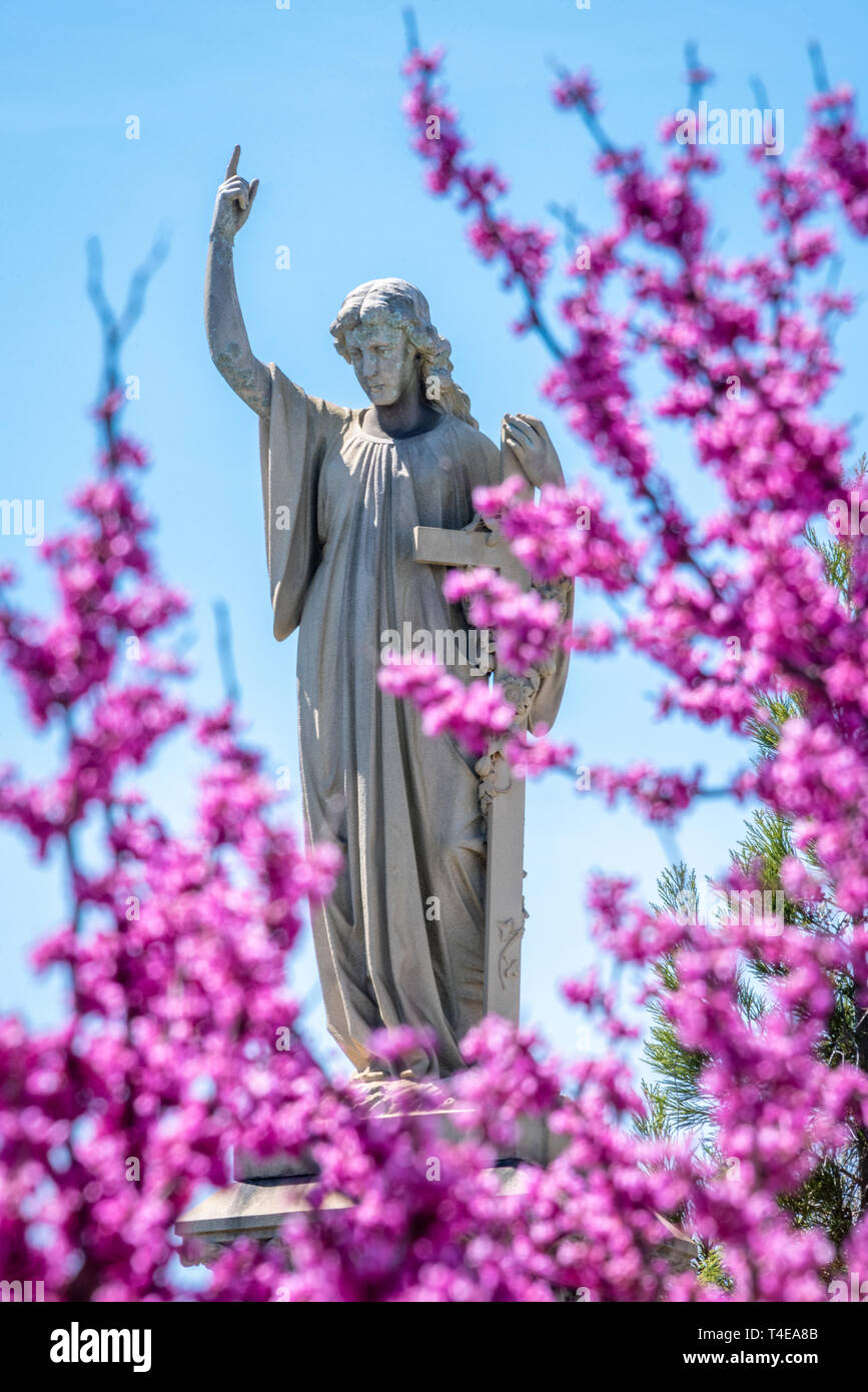 Cemetery statue seen through vibrant spring blossoms at Historic Oakland Cemetery in Atlanta, Georgia. (USA) Stock Photo