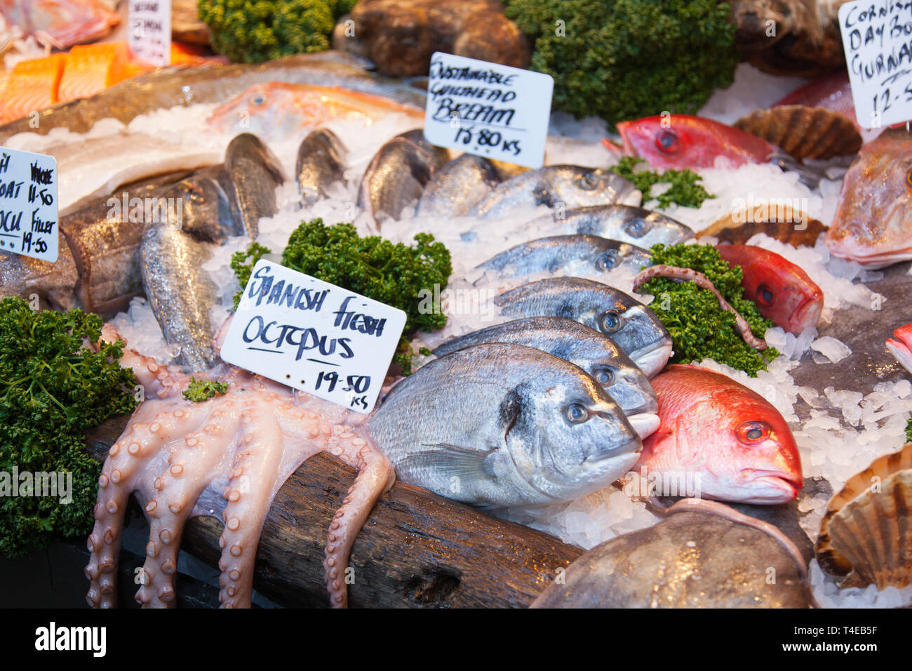 Fishmonger display at Borough Market, London, England, United Kingdom