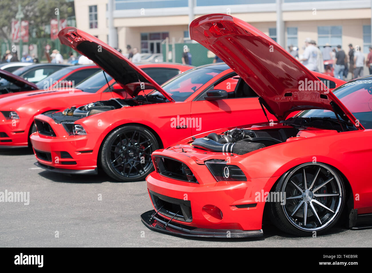 Red ford mustangs with custom aftermarket parts on display from the 2019 fabulous fords forever auto show in Anaheim California. Stock Photo