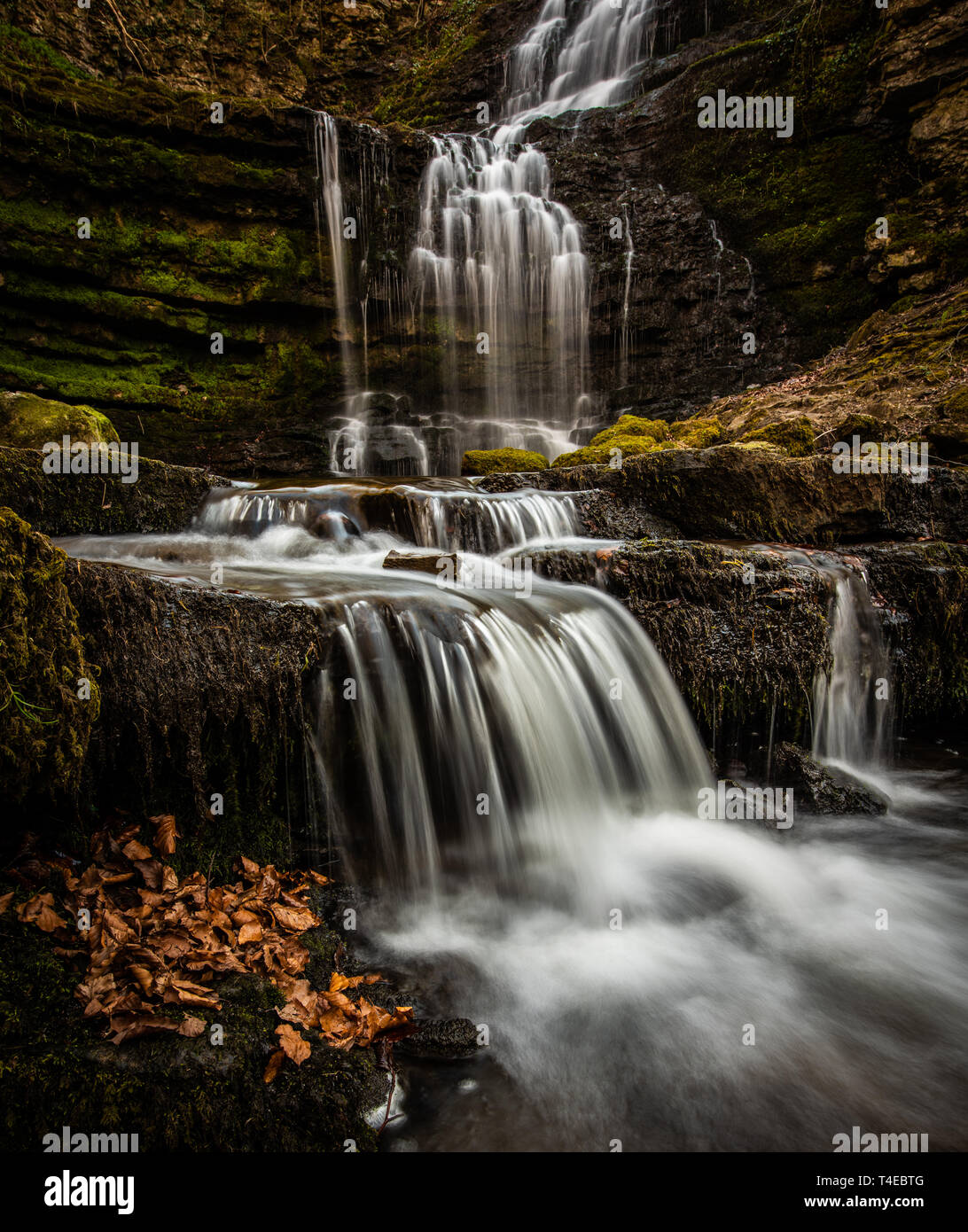 Scaleber Falls lie in a deep  wooded gorge near the market town of Settle in the Yorkshire Dales. The falls are 40 foot high and cascade over limeston Stock Photo
