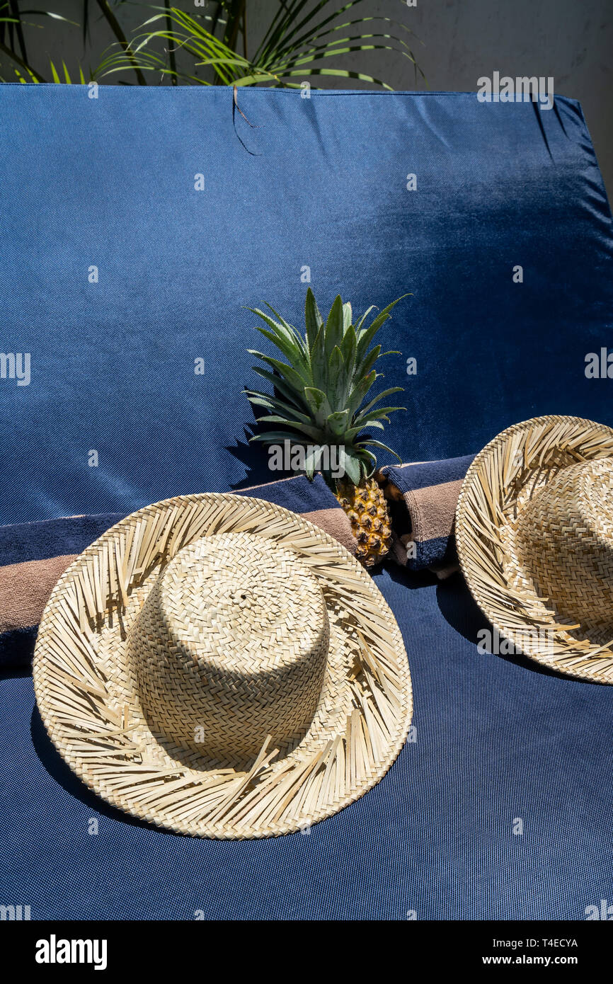 https://c8.alamy.com/comp/T4ECYA/sun-shade-hat-for-sun-bathing-in-a-luxury-villa-in-kuta-on-the-island-of-lombok-indonesia-and-a-pineapple-T4ECYA.jpg