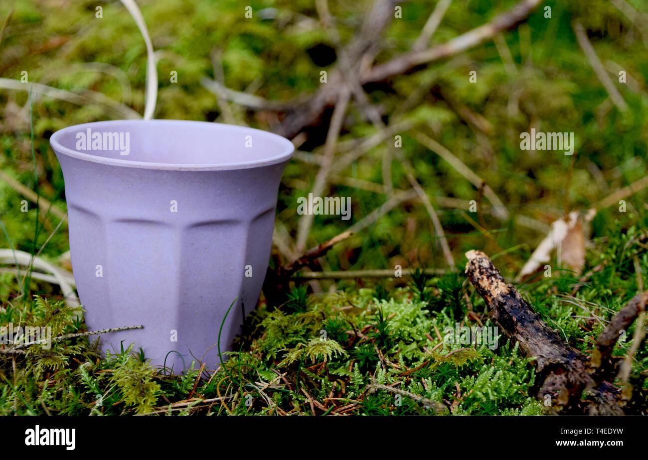 Purple coffee cup standing in the green moss Stock Photo - Alamy