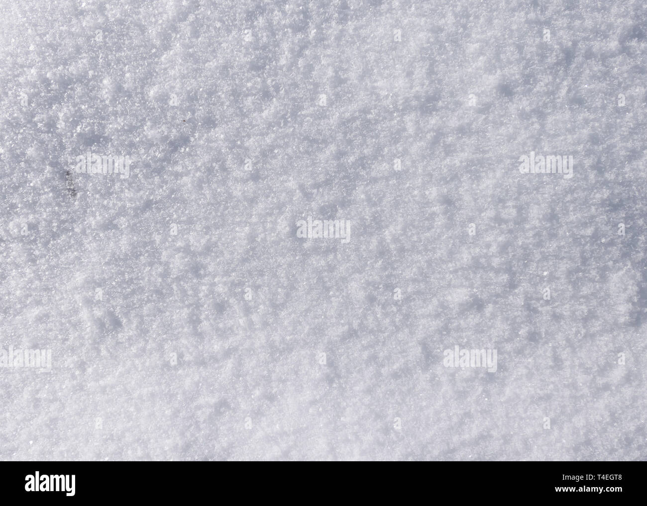 Arctic fresh snow Stock Photo - Alamy
