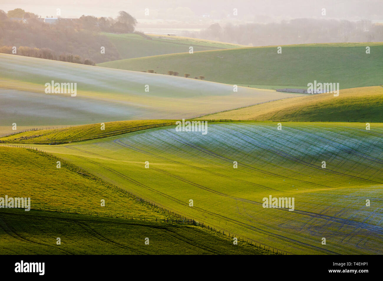 Spring sunrise in South Downs National Park, West Sussex, England. Stock Photo