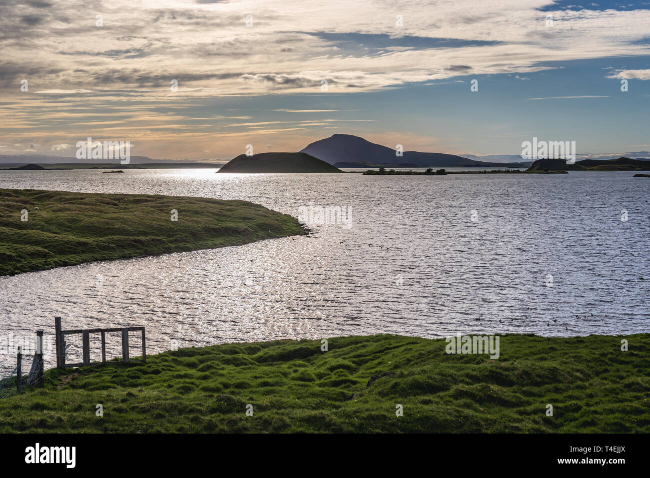 Road 848 along Lake Myvatn near Reykjahlid village in Iceland Stock Photo