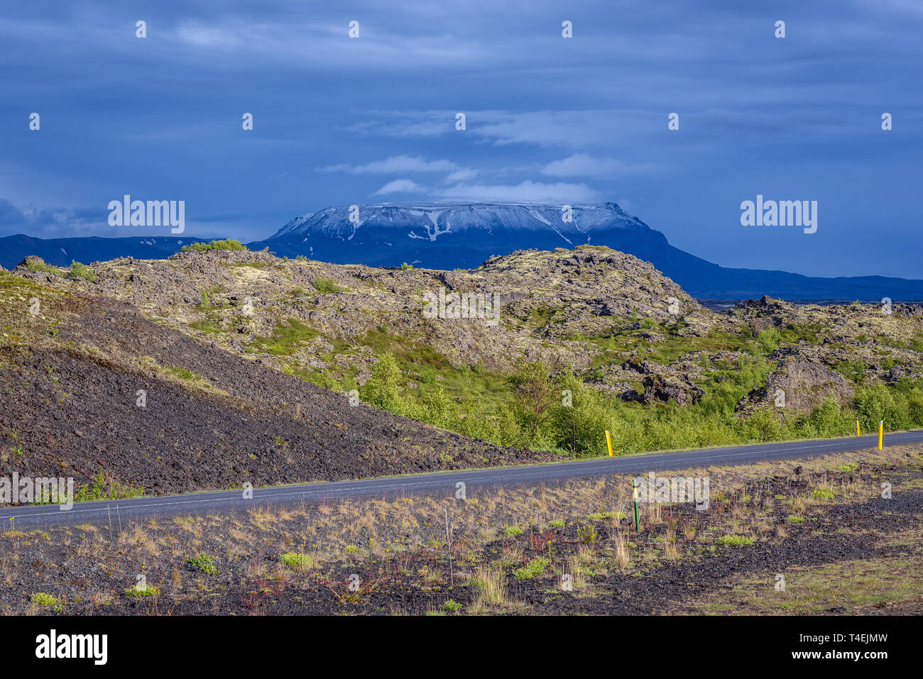 Road 848 along Lake Myvatn near Reykjahlid village in Iceland, Blafjall mountain on background Stock Photo