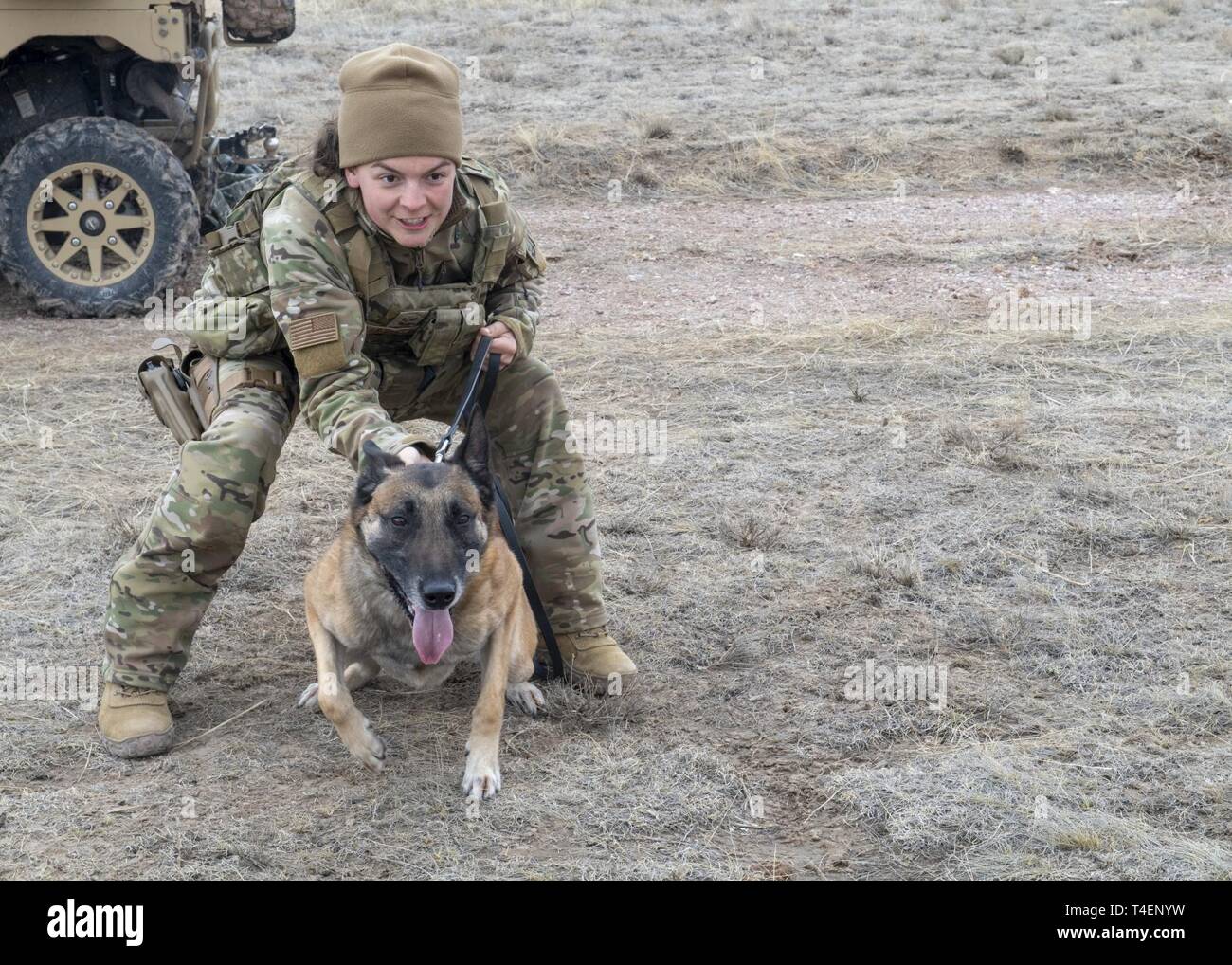 Senior Airman Danielle Barlett, 823d Base Defense Squadron (BDS) military working dog (MWD) handler, excites NNorton, 823d BDS MWD, to deter crowds during the Mission Readiness Exercise (MRX) at Camp Guernsey, Wyo., March 25, 2019. Airmen from the 823d BDS learned how to defend a base during a riot or protest and how to use the MWDs as deterrents to civilians. Stock Photo