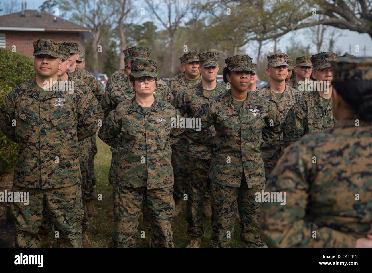 U.S. Sailors with 2nd Marine Logistics Group (MLG) stand in formation ...