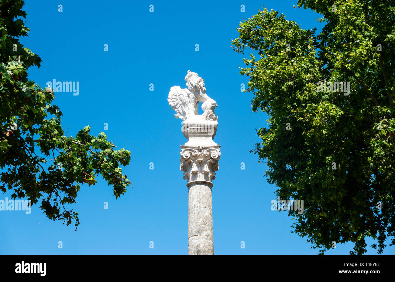 A statue of a surrealistic lion with a broken tail sitting on a Roman column at the north end of La Alameda in Seville Stock Photo