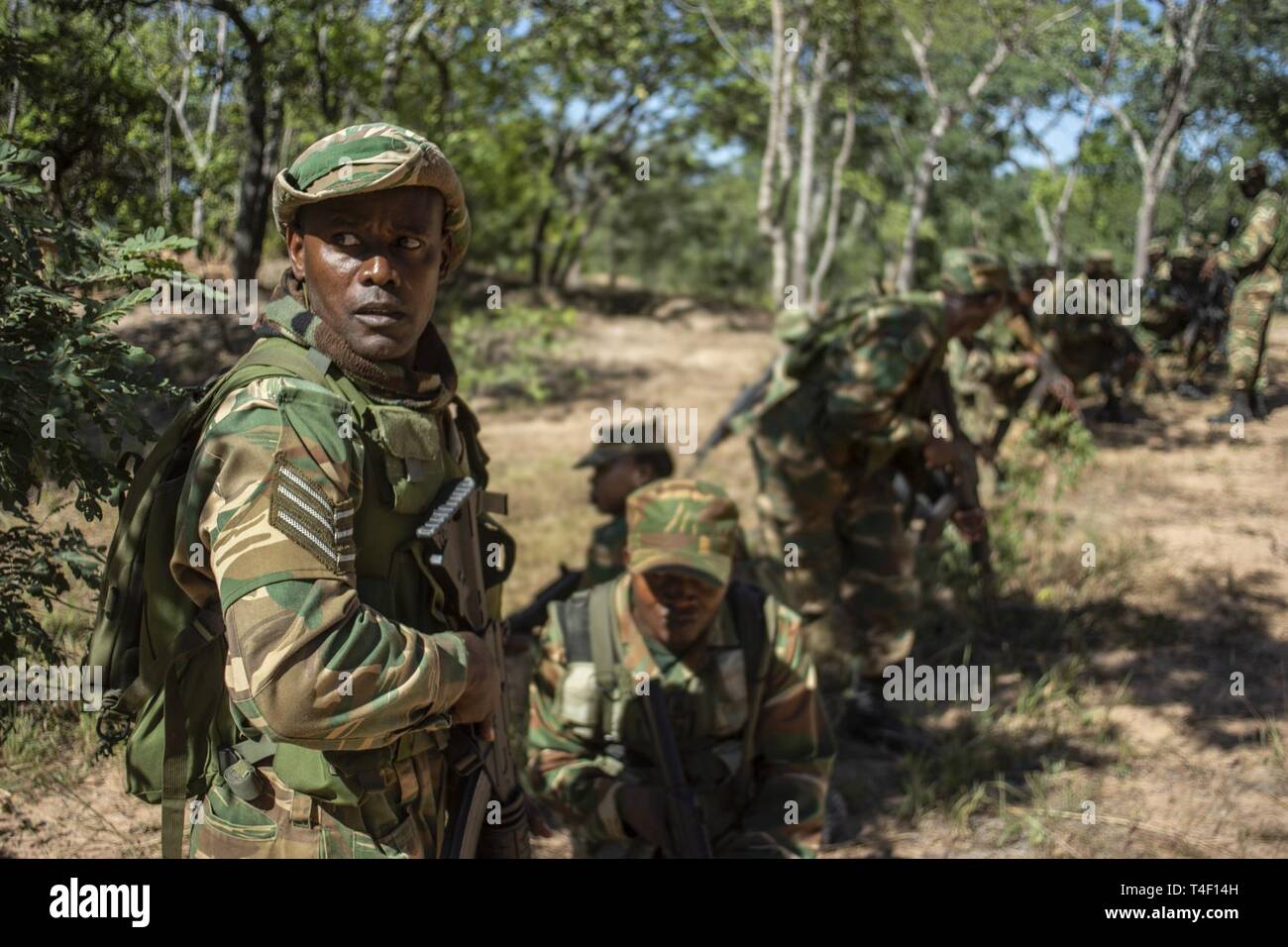A Zambian Soldier leads a patrol during a predeployment field training